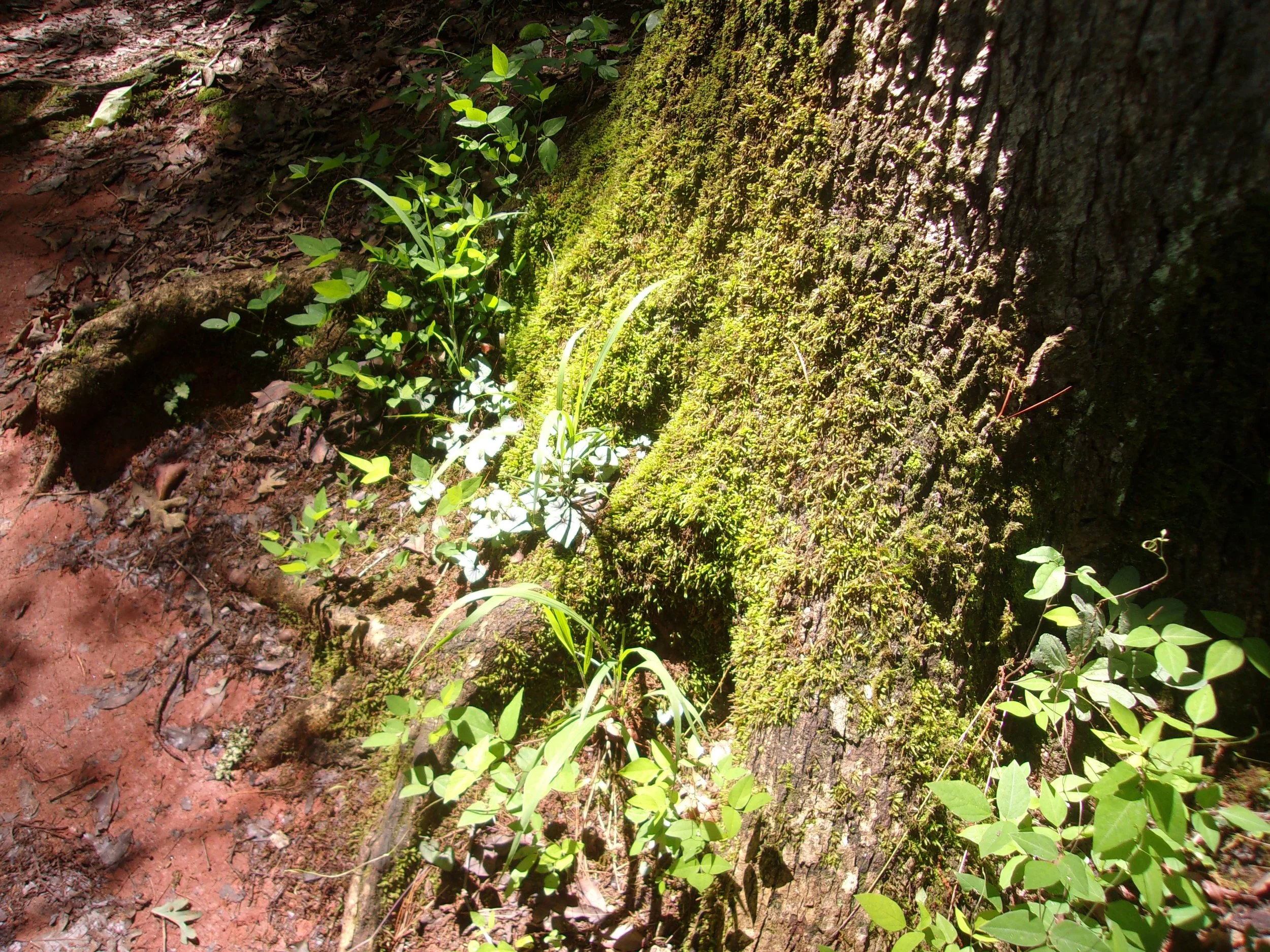 rebirth_3 | june 7, 2025