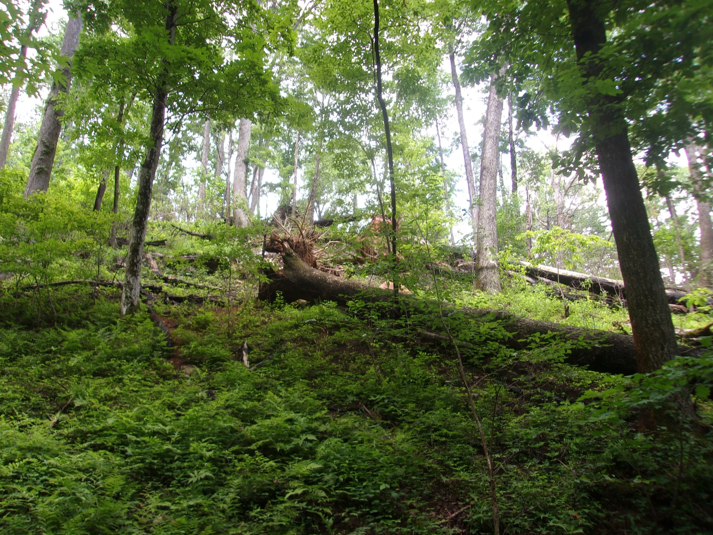 bodies_3 | june 7, 2025