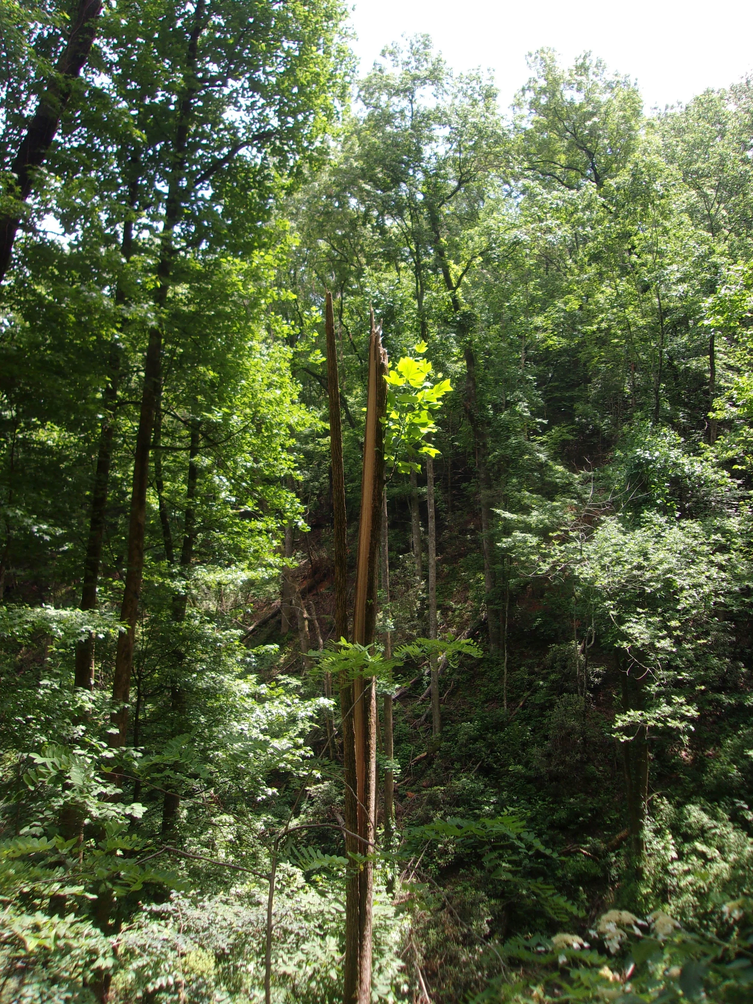 bodies_2 | june 7, 2025