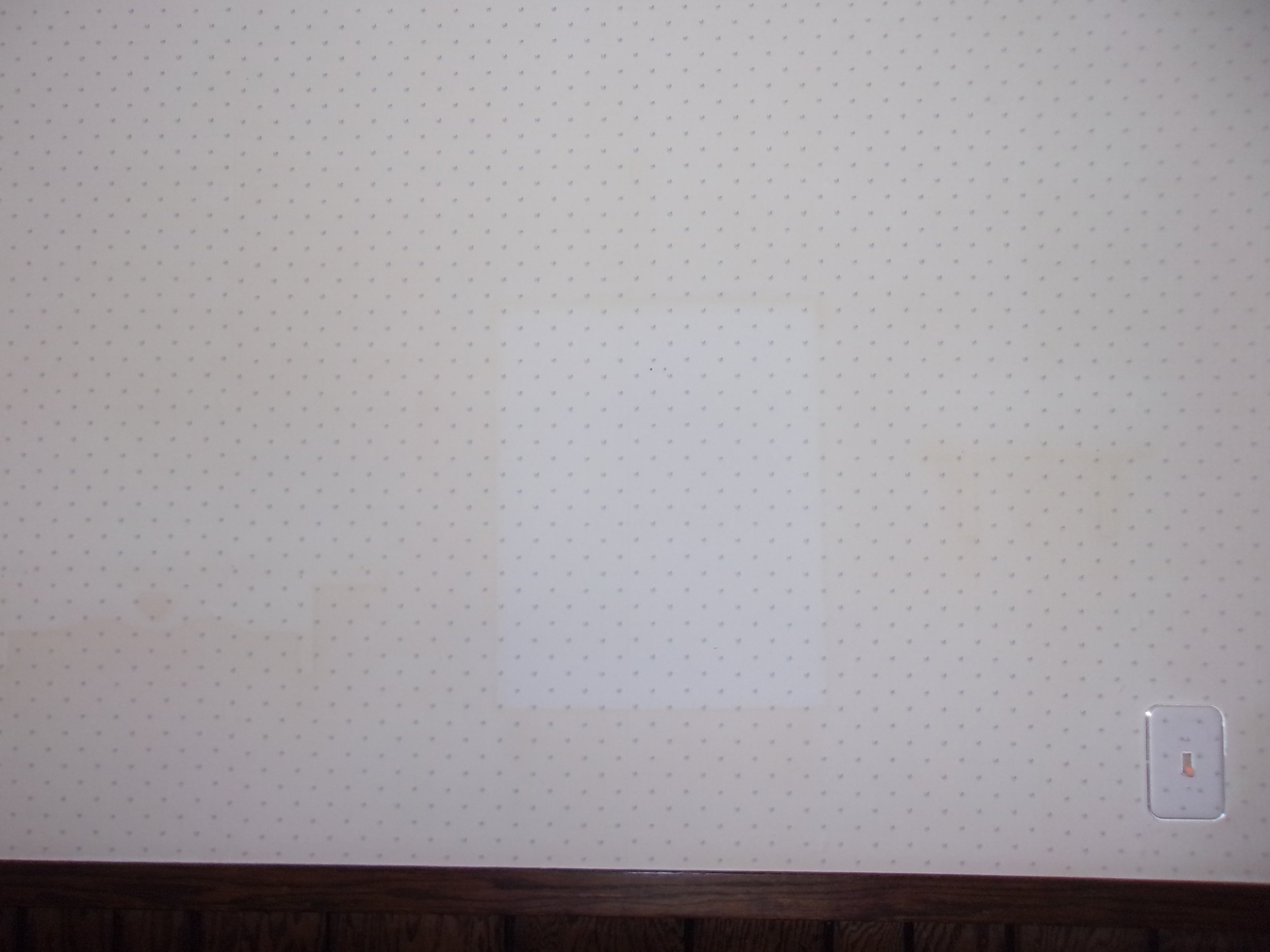 missing_photograph | december 21, 2024