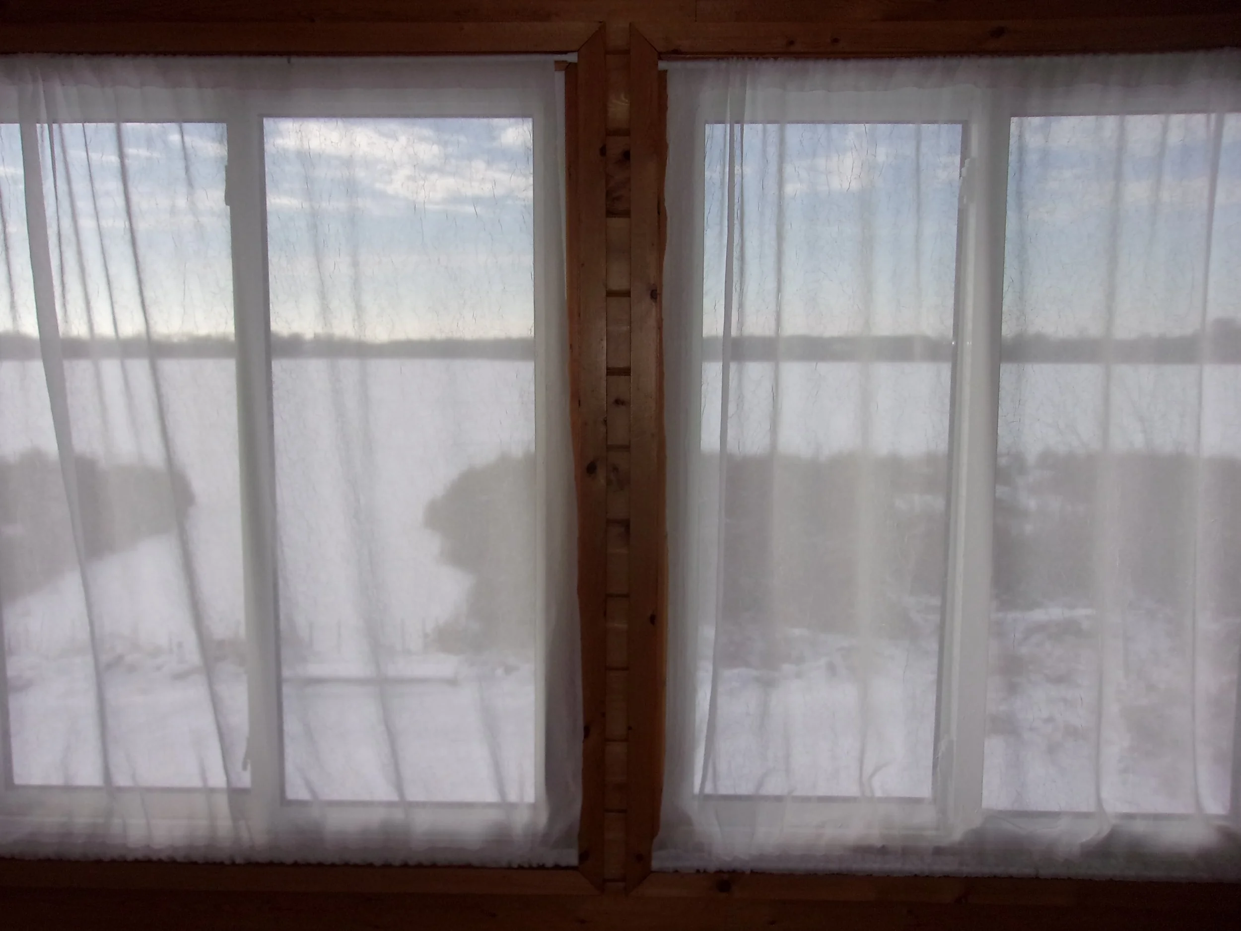 gauze | december 21, 2024