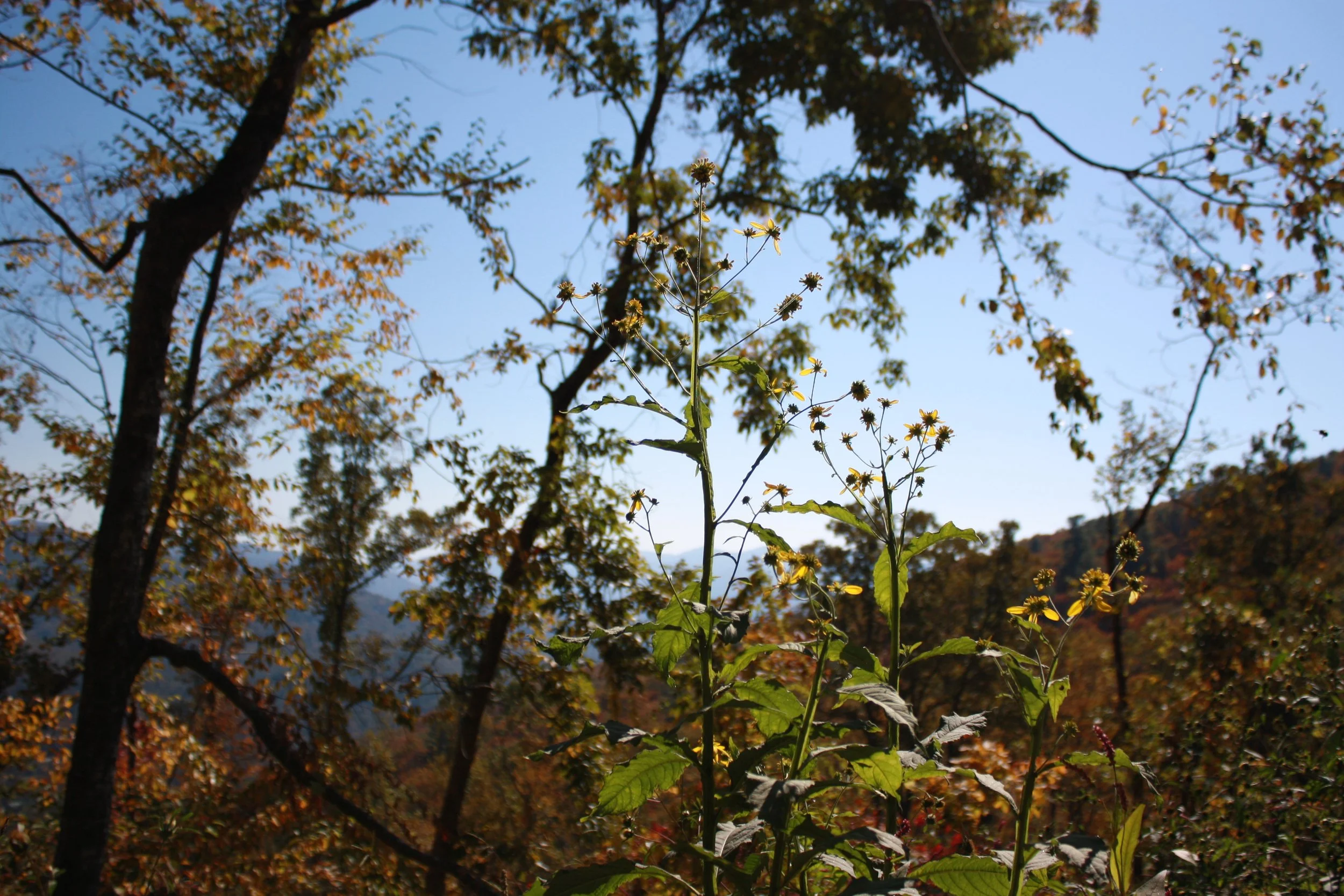 mothers_daughter | october 18, 2025