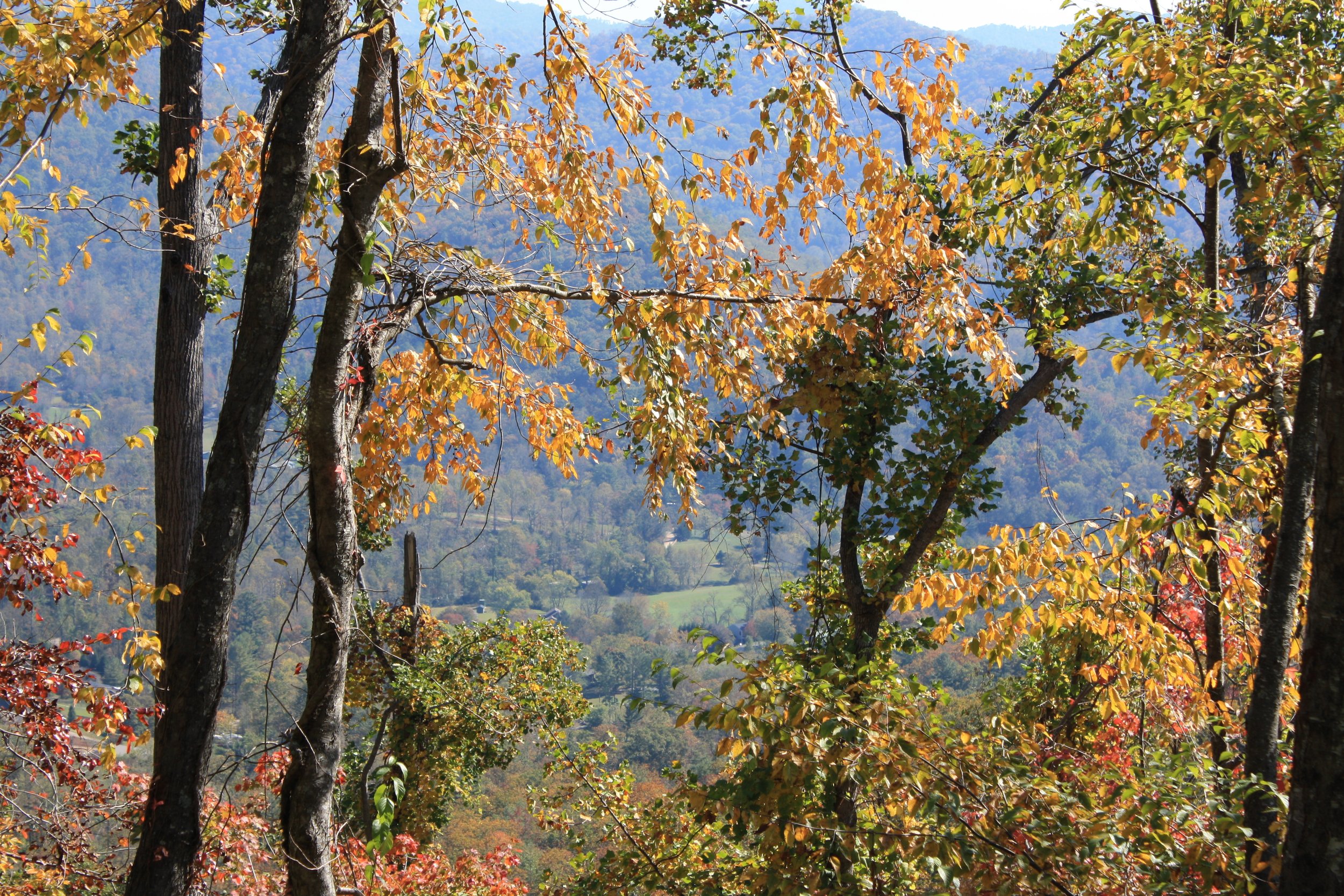 laura's_theme | october 18, 2025