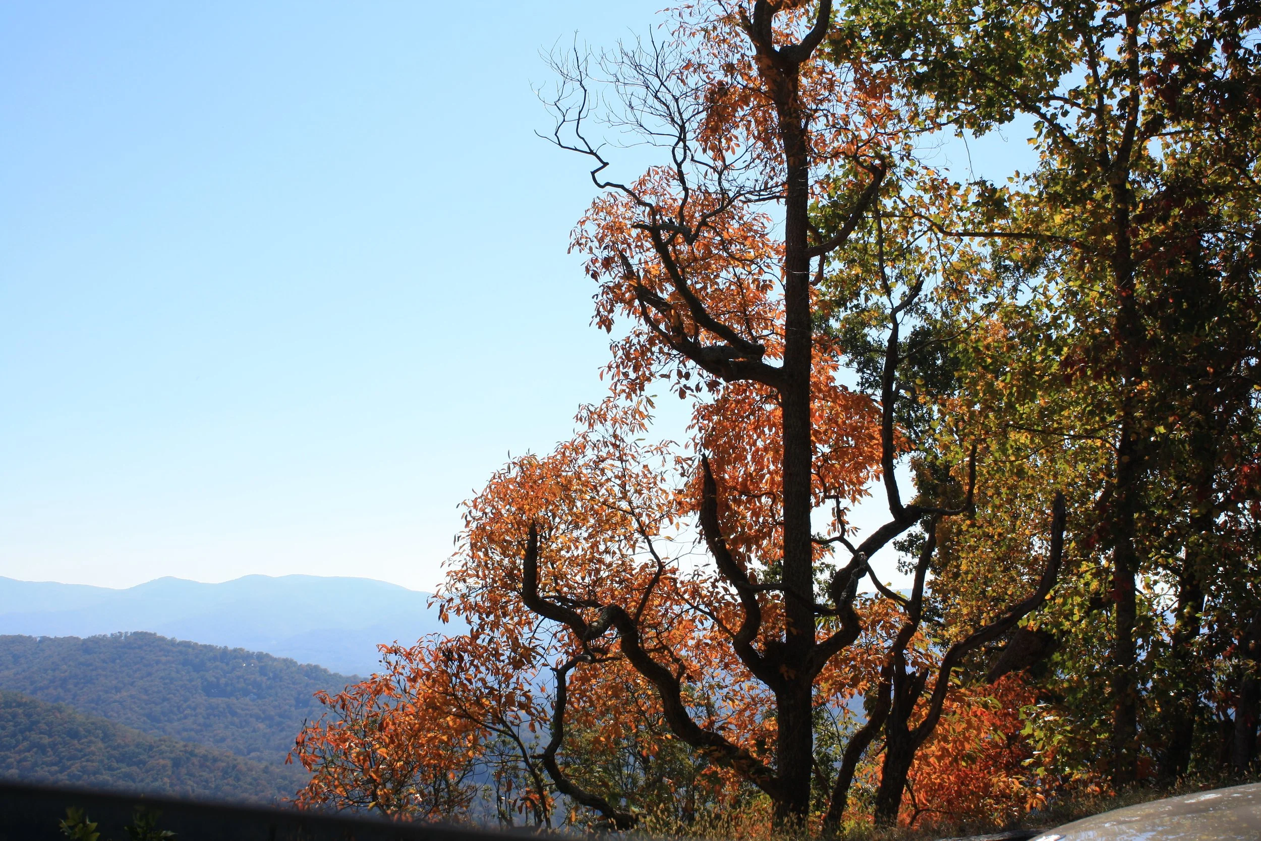 flame_resistant | october 18, 2025