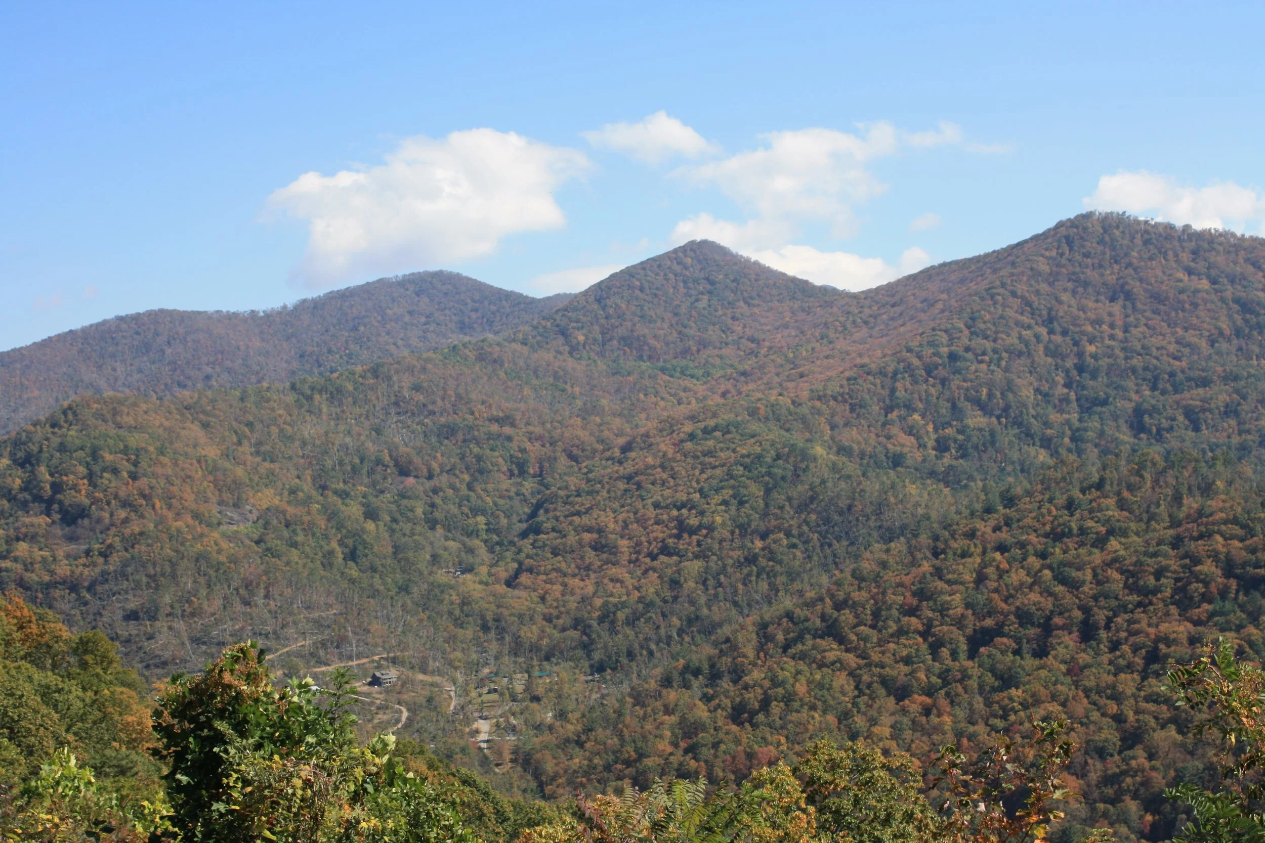 zoom_out | october 18, 2025