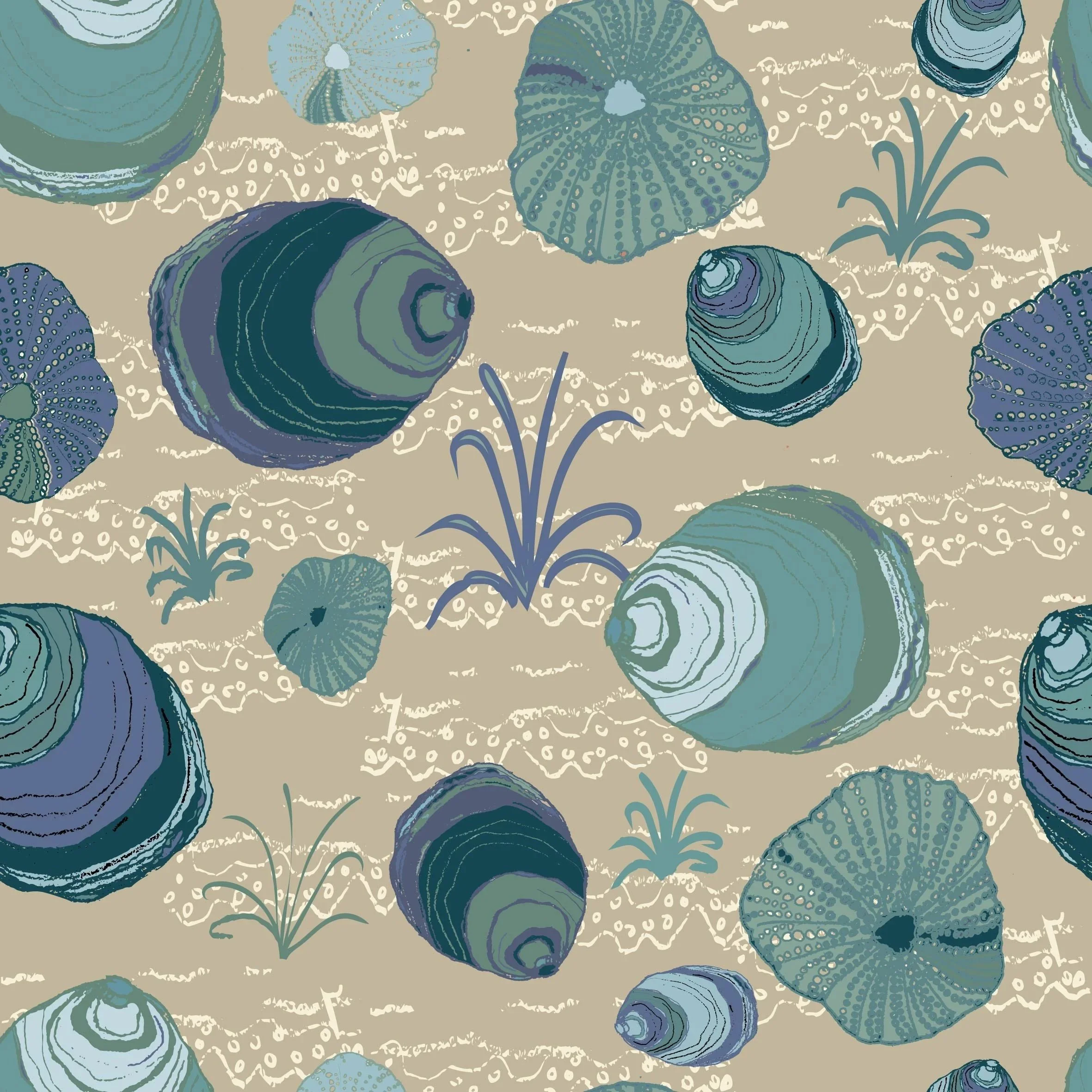 Tideline Stories - Seashore