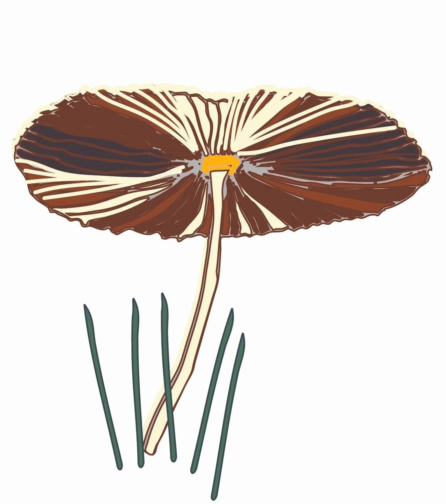 single+mushroom+back+beach-01.jpg