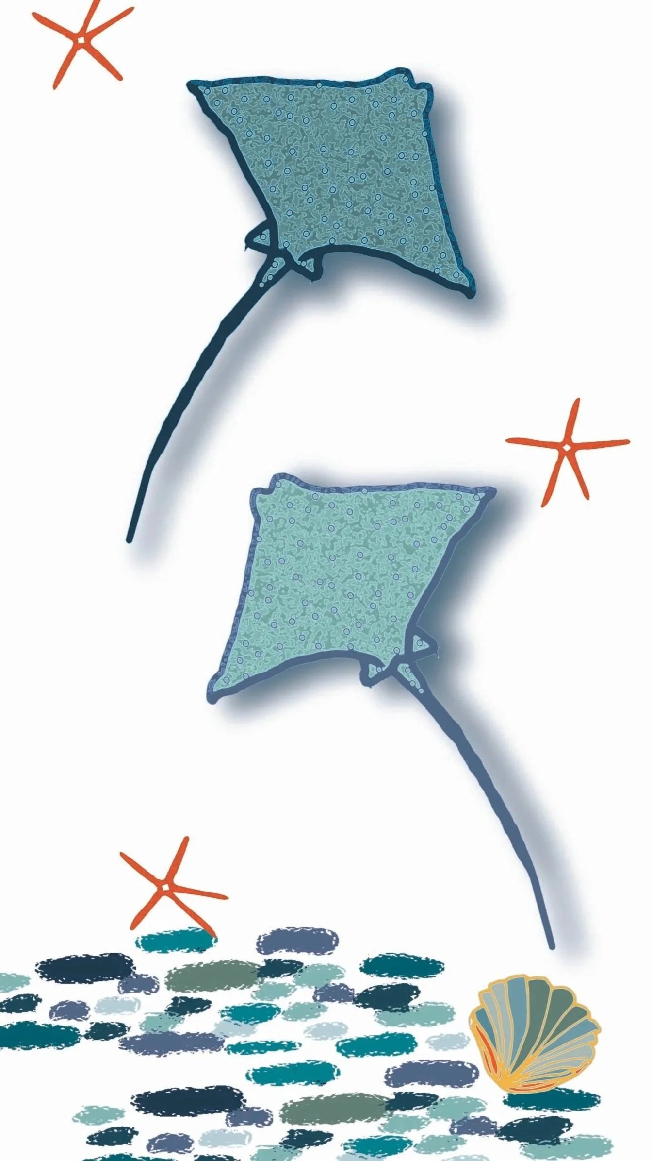 Artistic illustration of a sea bed with two stingray swimming above, featuring blue patterned rocks, orange starfish, scattered pebbles, and a seashell.