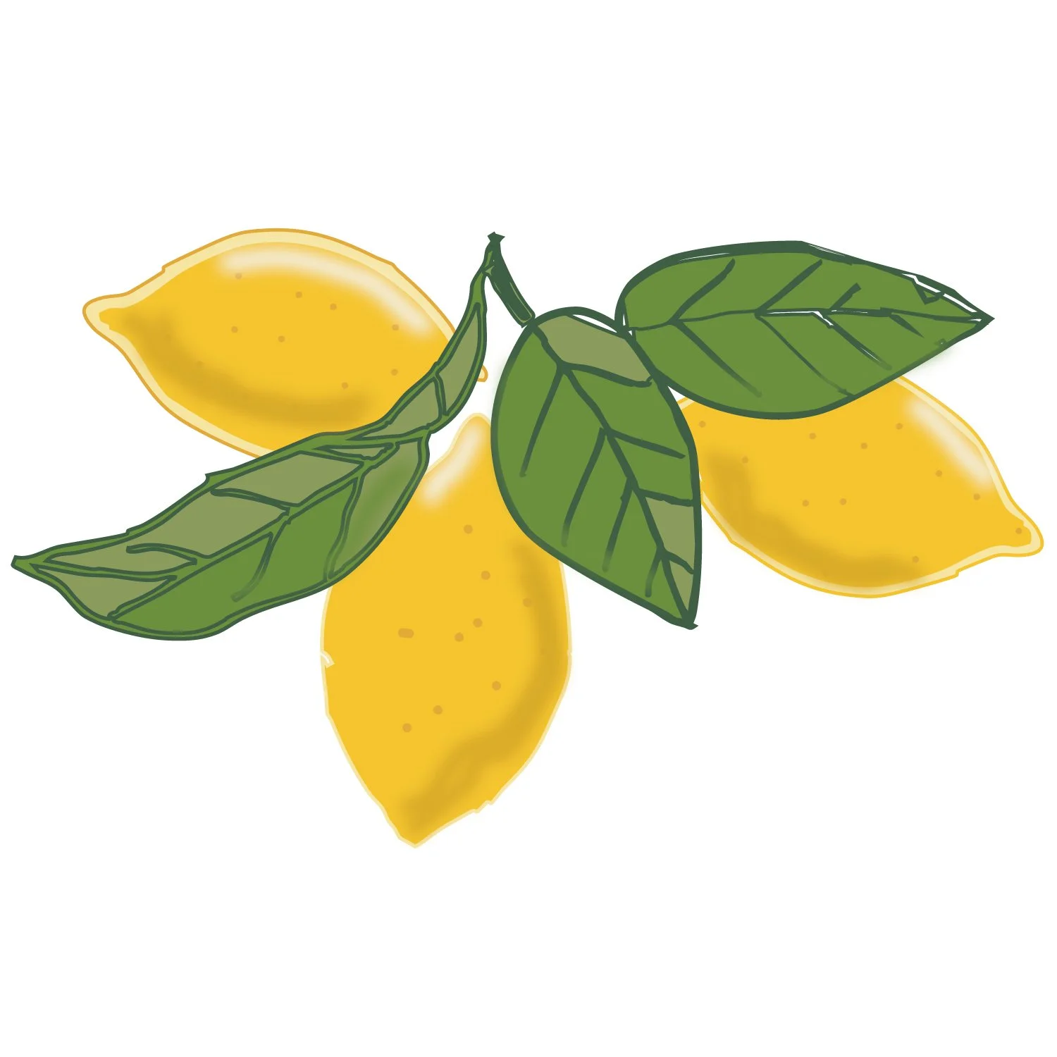 Mediterranean lemons RGB.jpg