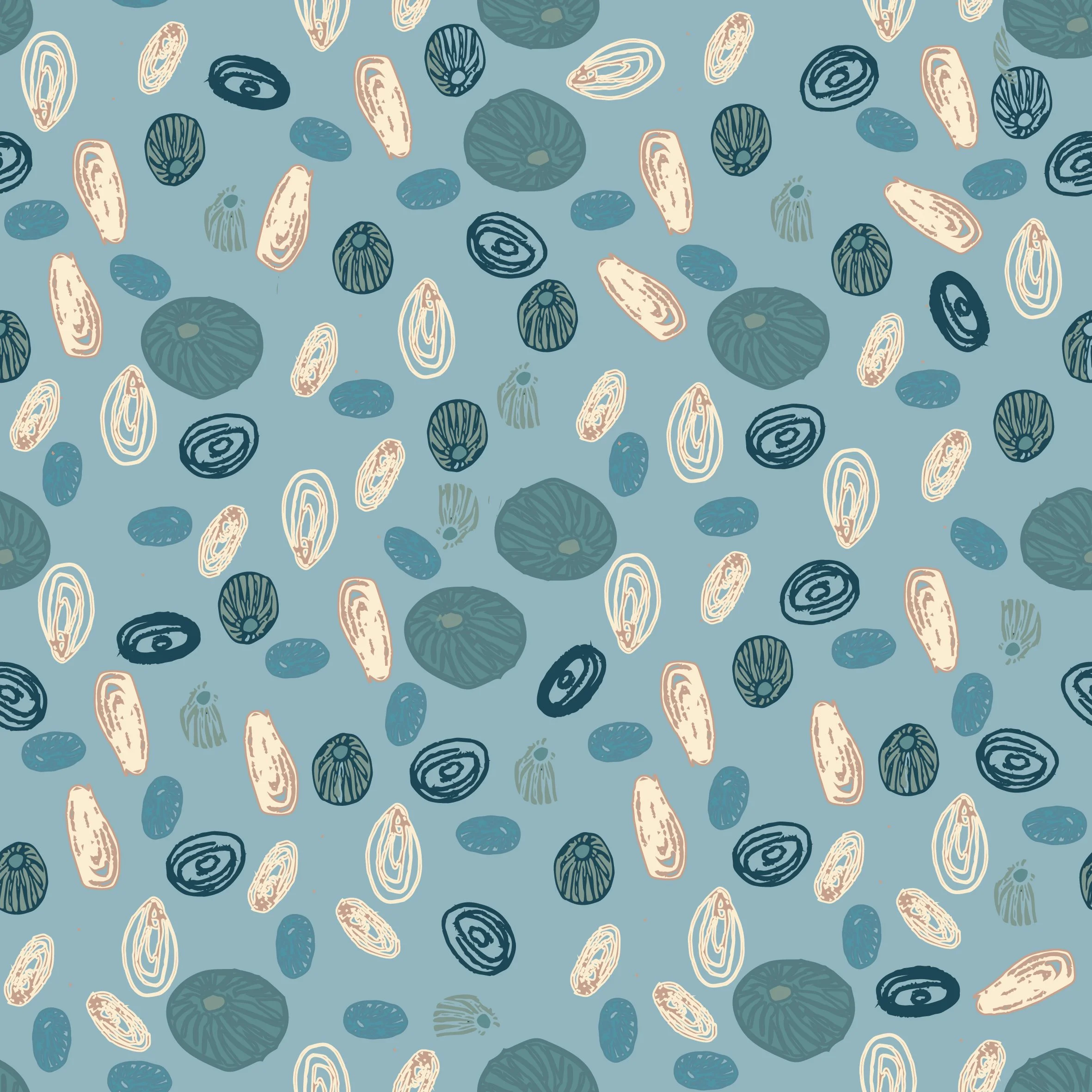 Beach Scenes - shells-01.jpg