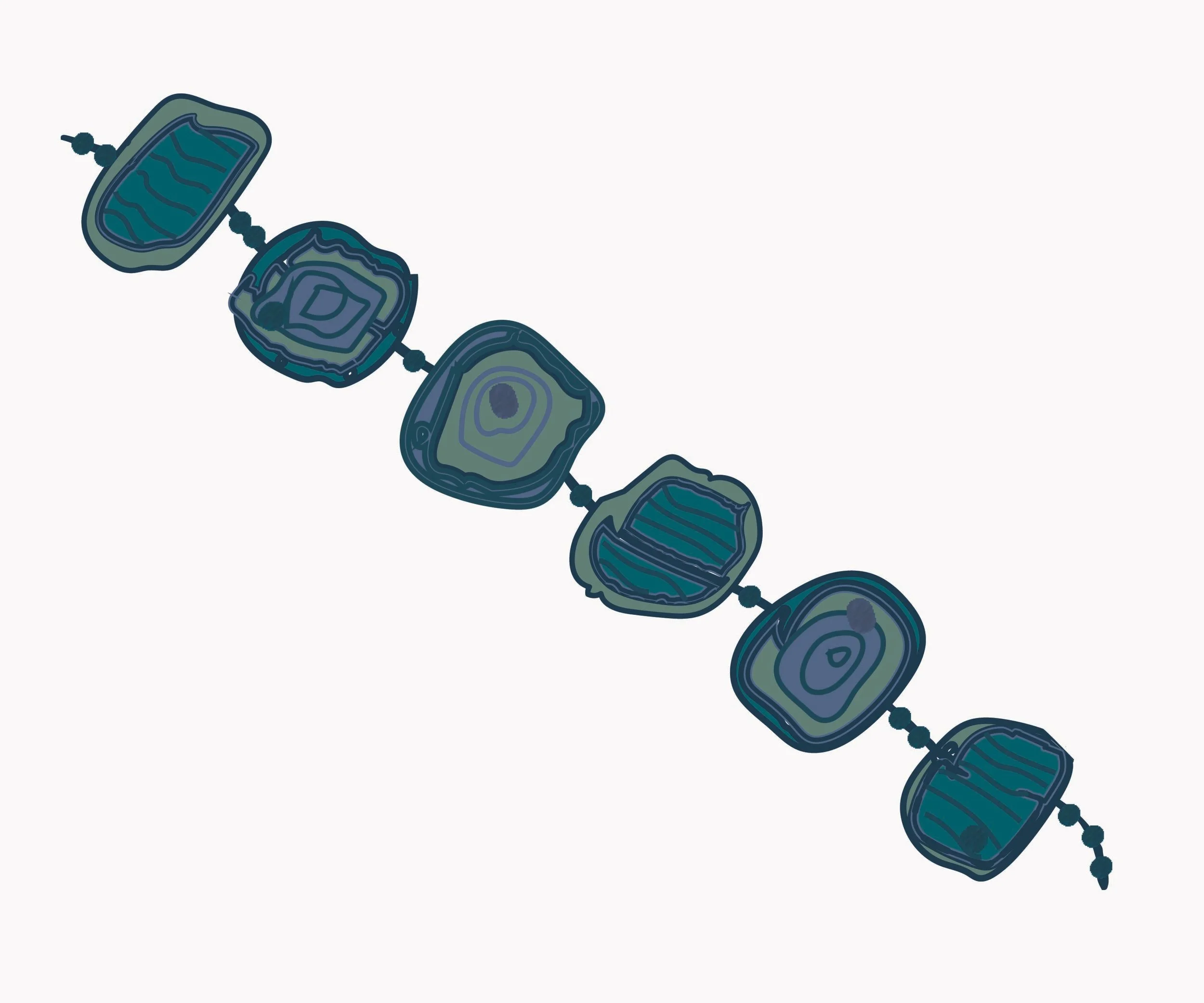 Neptune's necklace seaweed.jpg