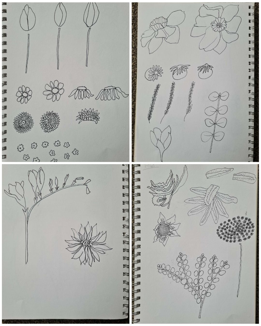 Four pages of botanical line drawings, each sketch featuring various flowers and plant parts ready to be turned into repeating patterns.