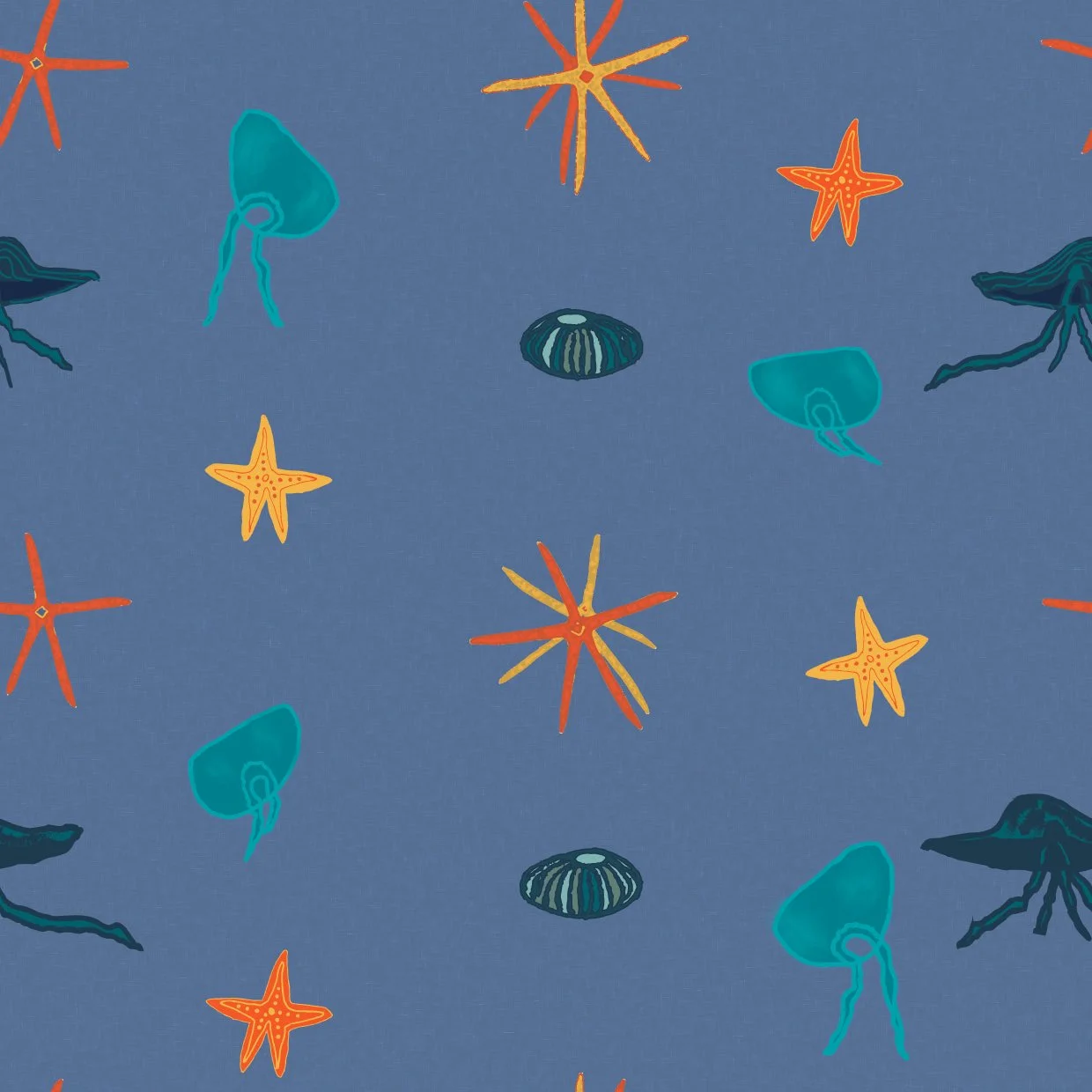 JellyStars