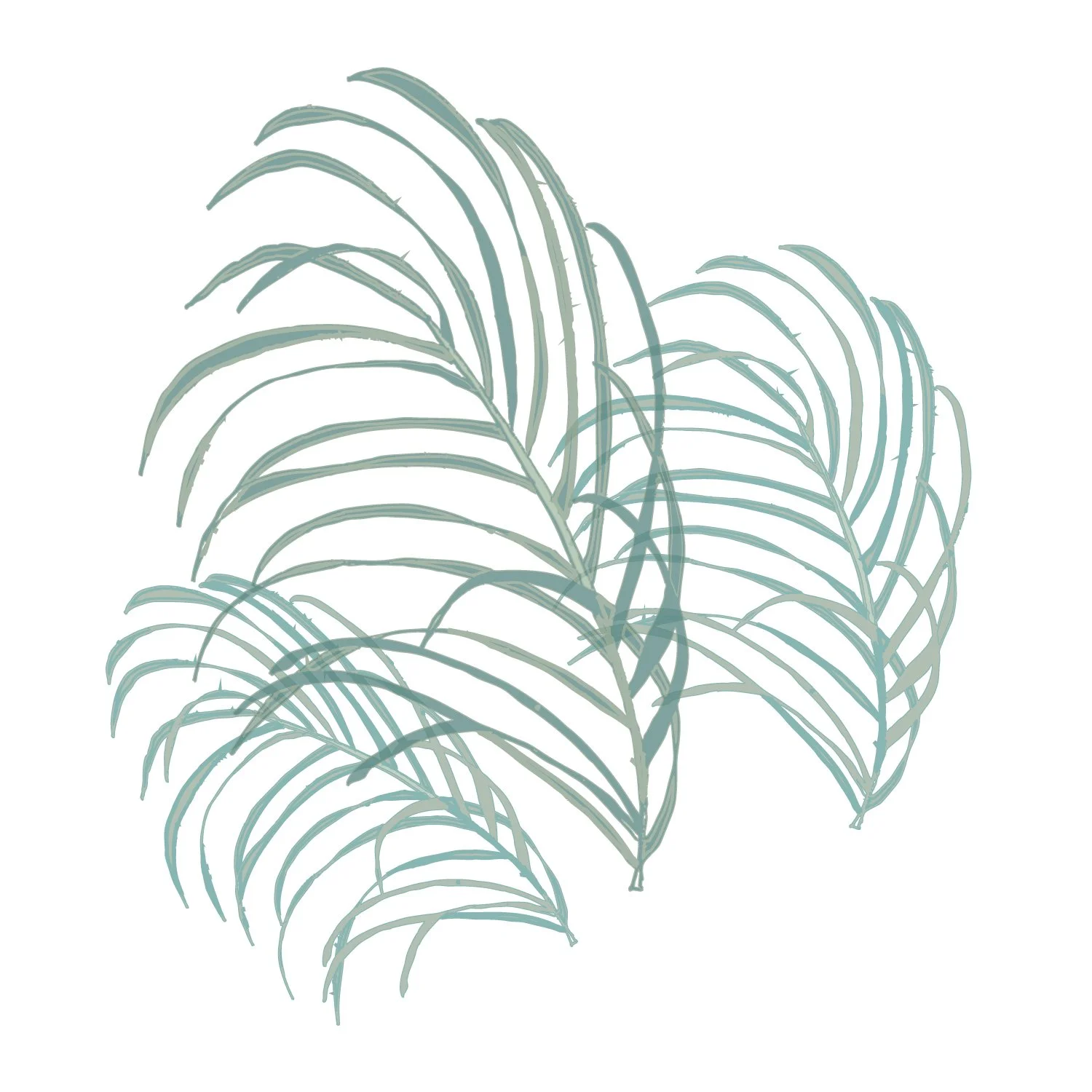 Seagrass RGB.jpg