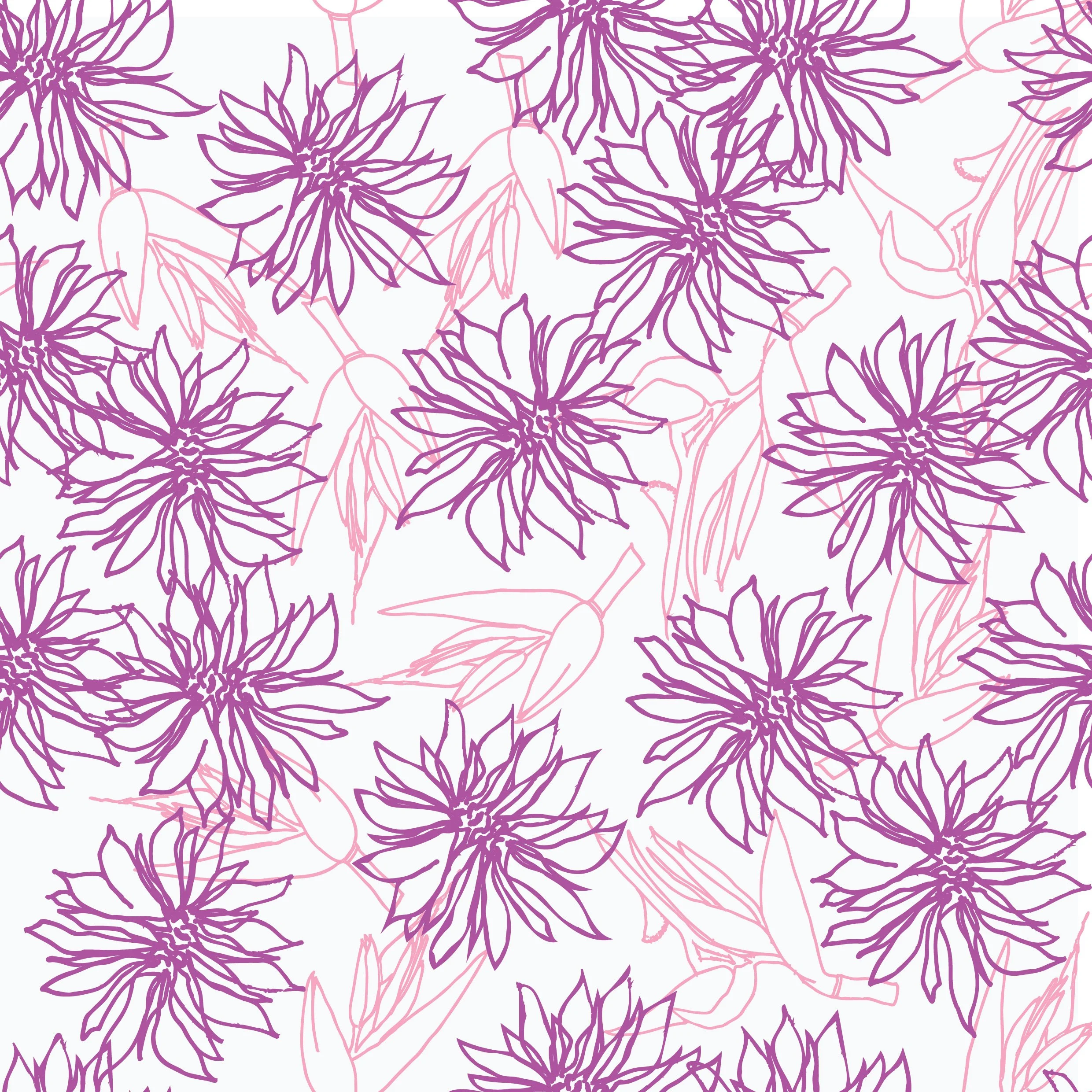 Spring Flower Dahlias 