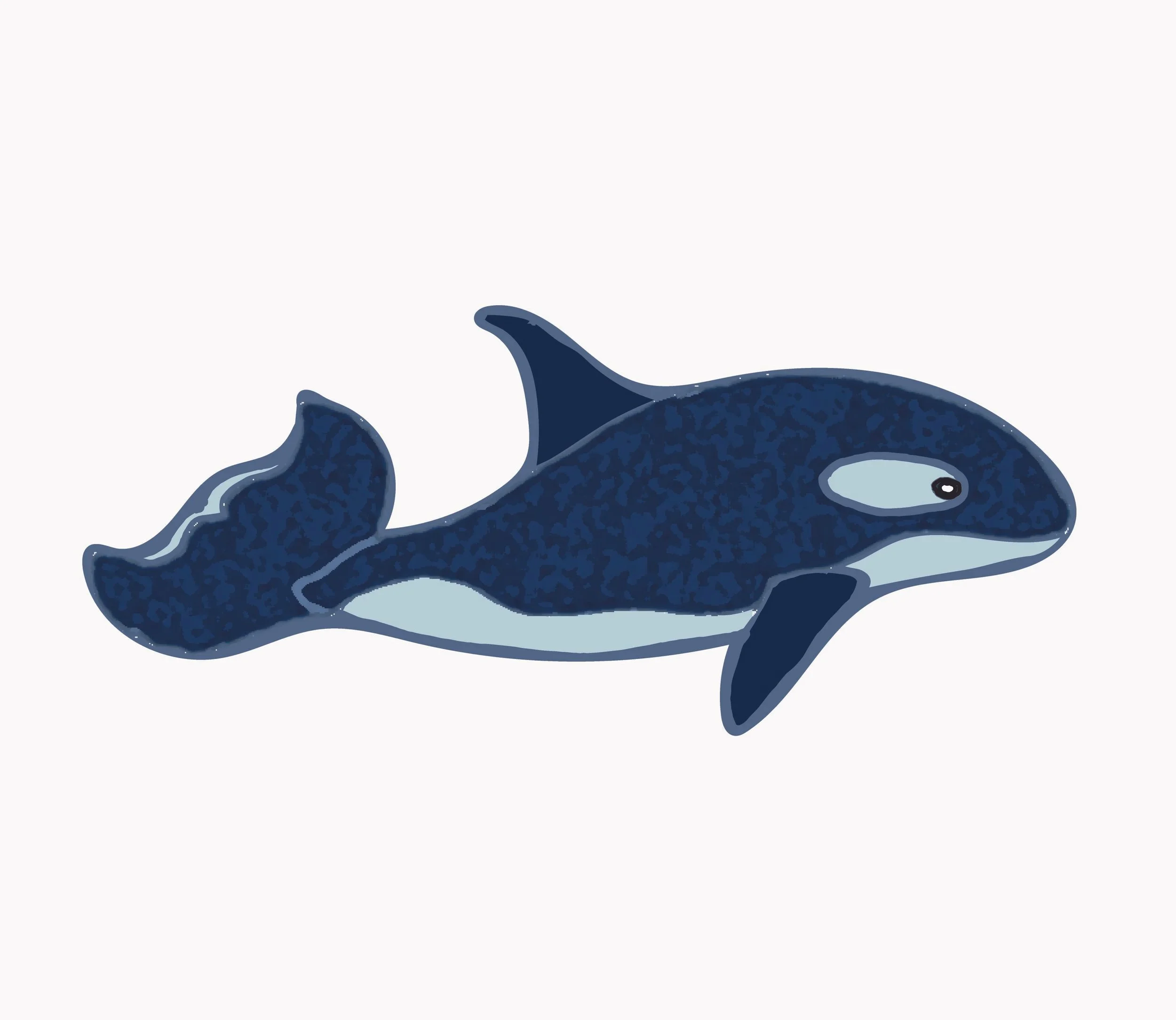 Illustration of a blue whale swimming.