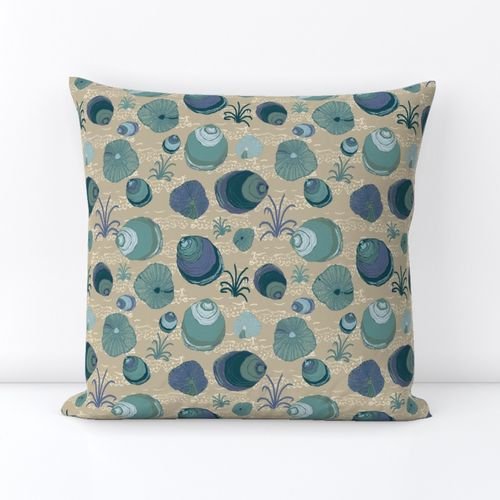 Tidal Stories- seashells