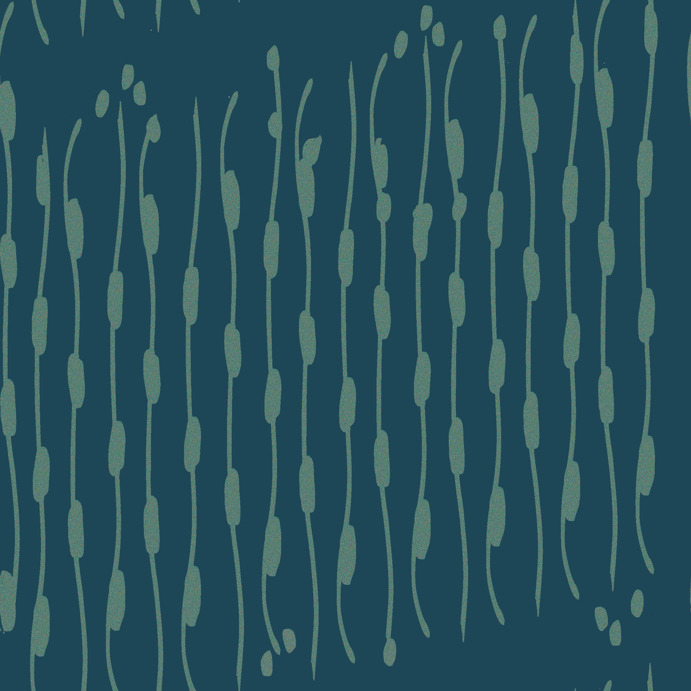 Beach Scenes -seaweed-01.jpg