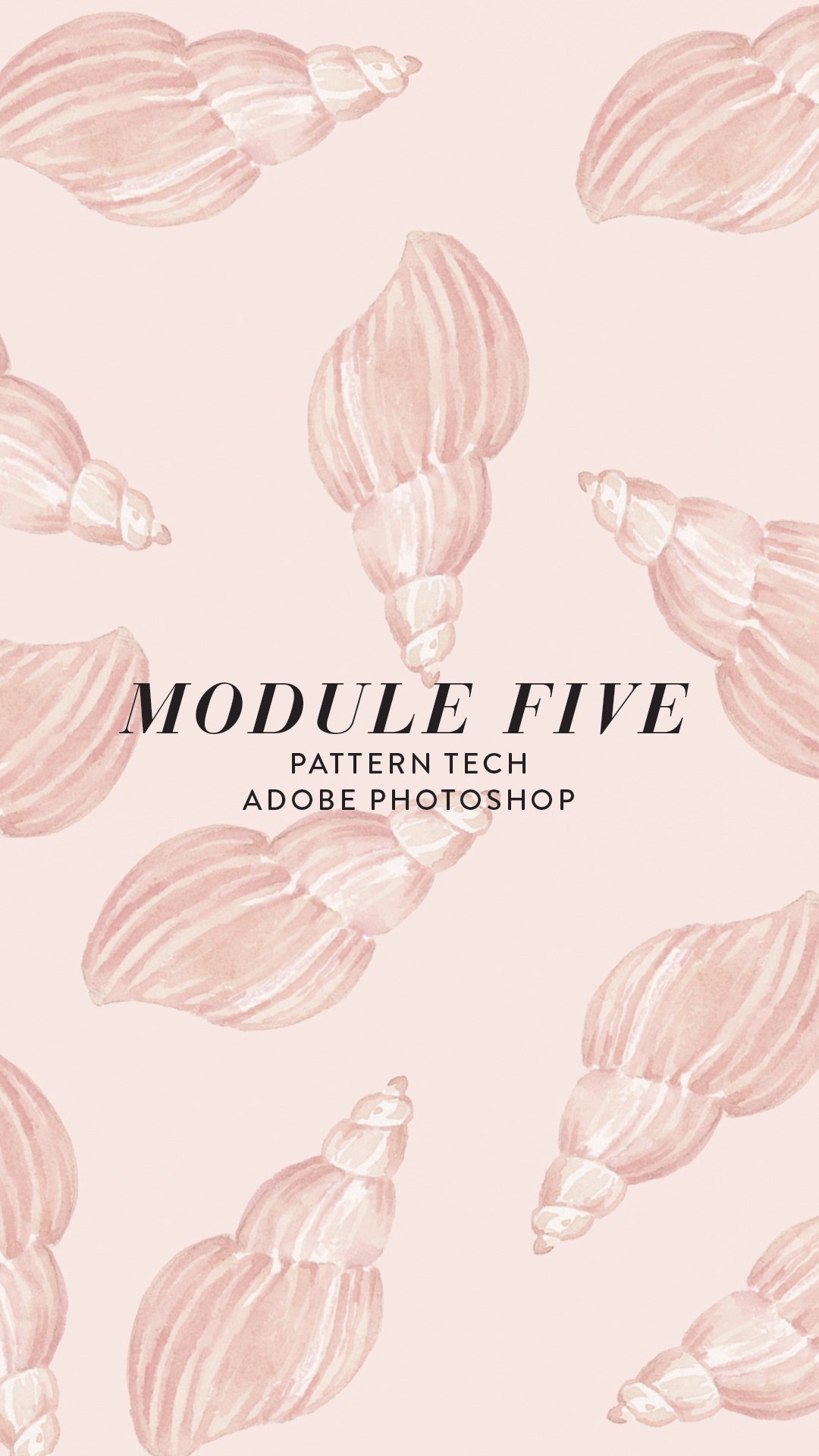 Affiliate-InstaStories_Module5.jpg