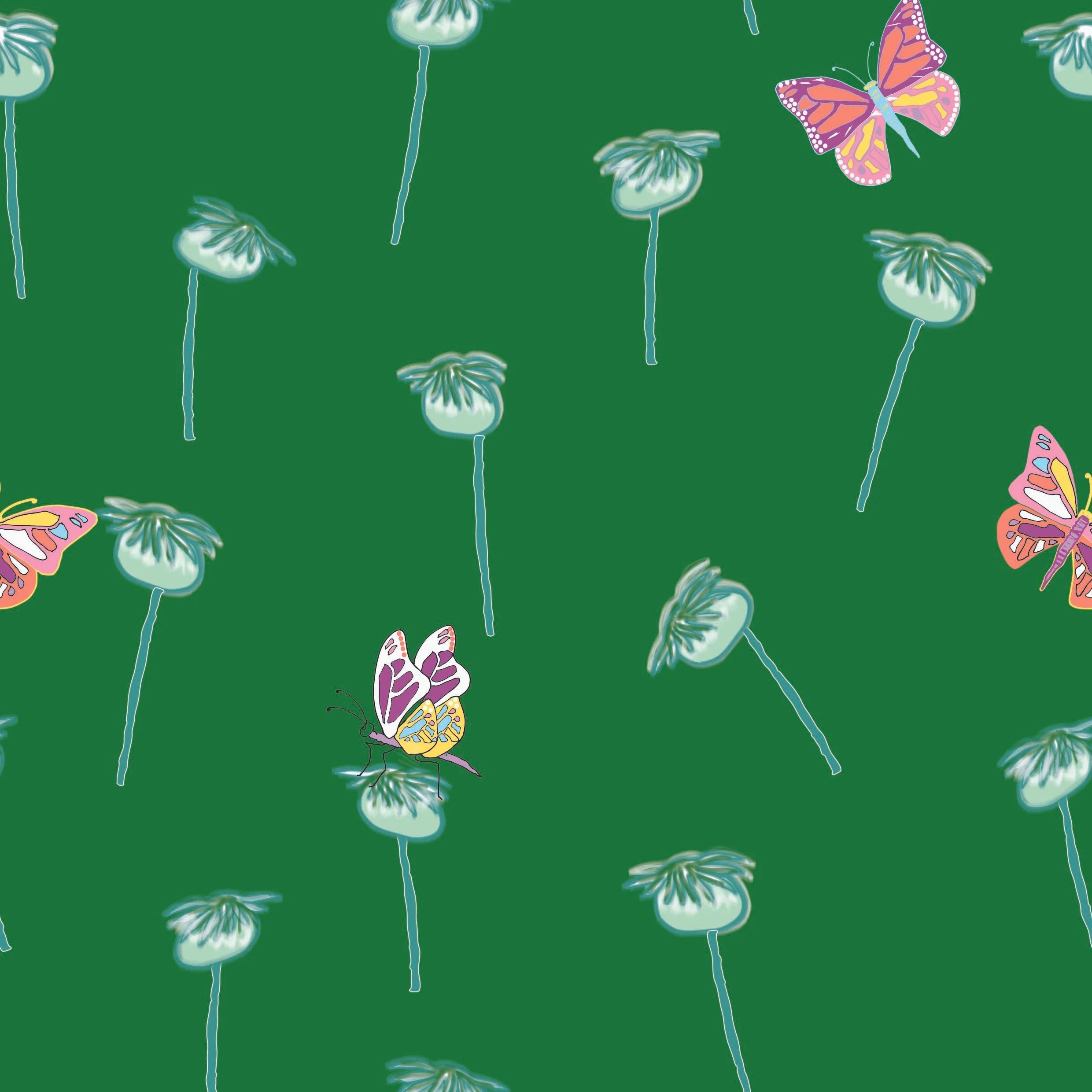 Seedpods & Butterflies
