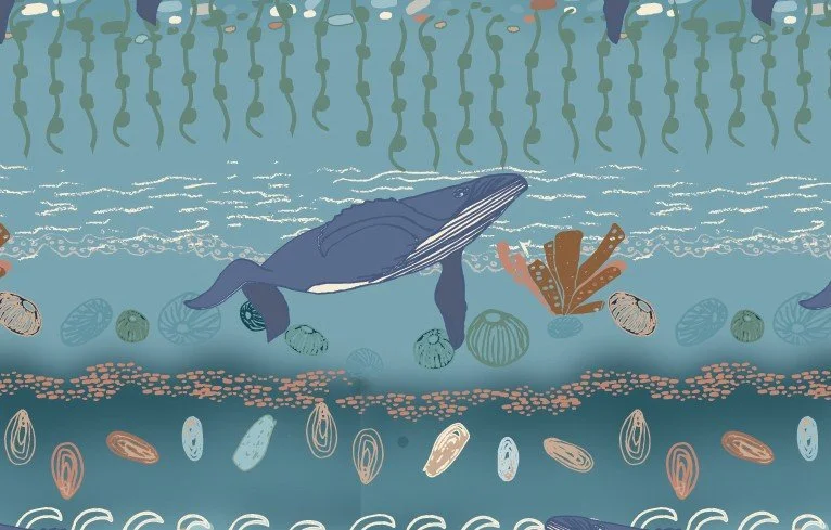 Tideline Stories Collection