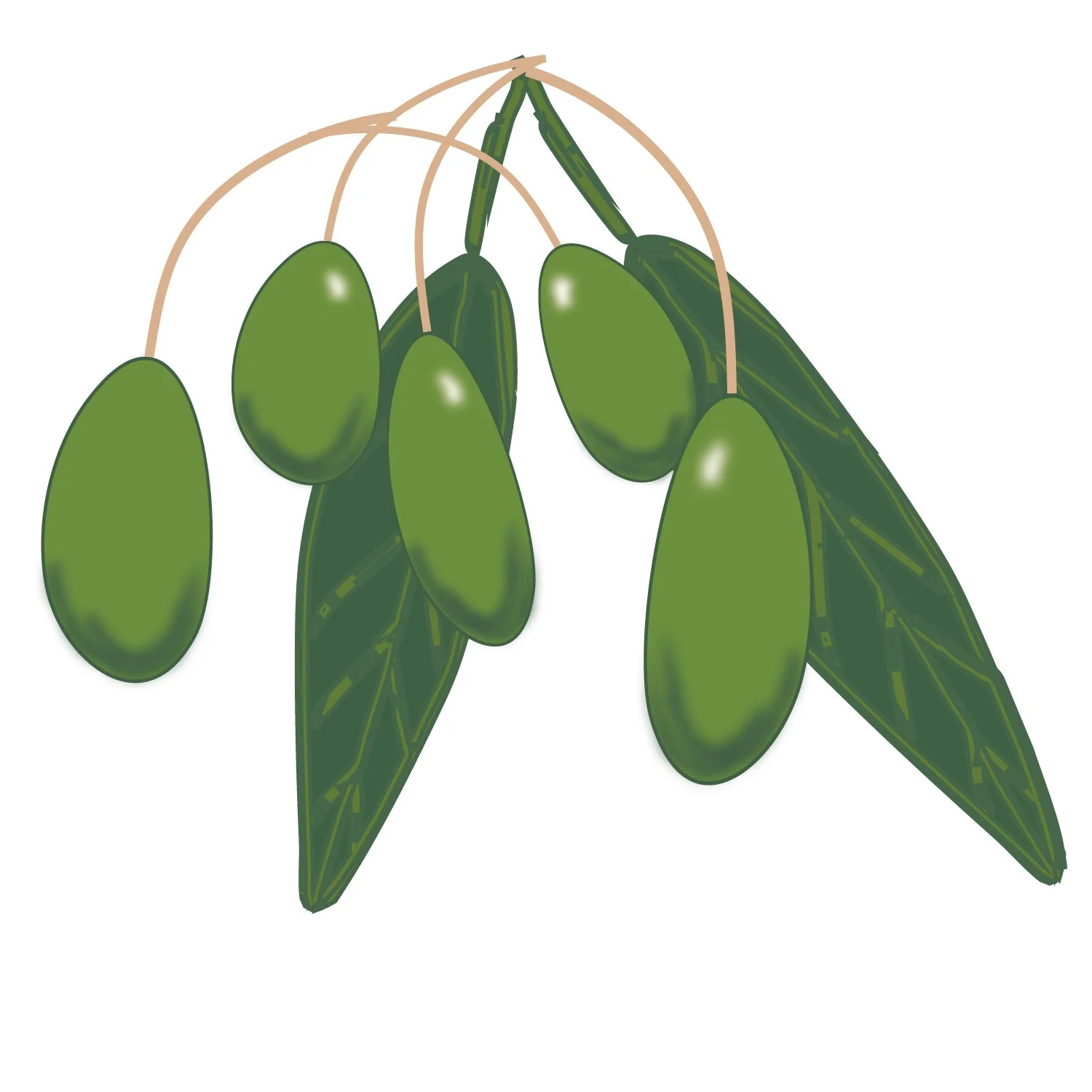 Olive RGB.jpg