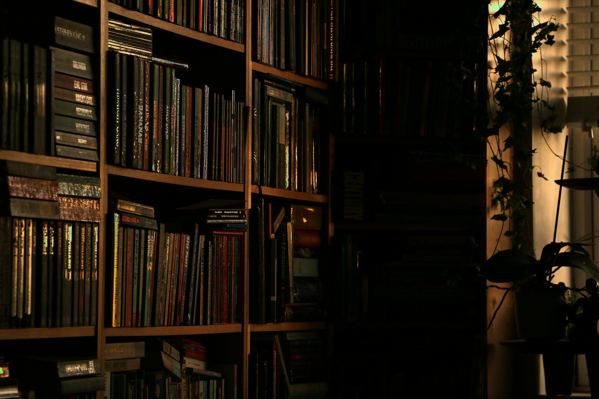 A dimly lit room with a wooden bookshelf filled with books, and potted plants near a window with blinds.