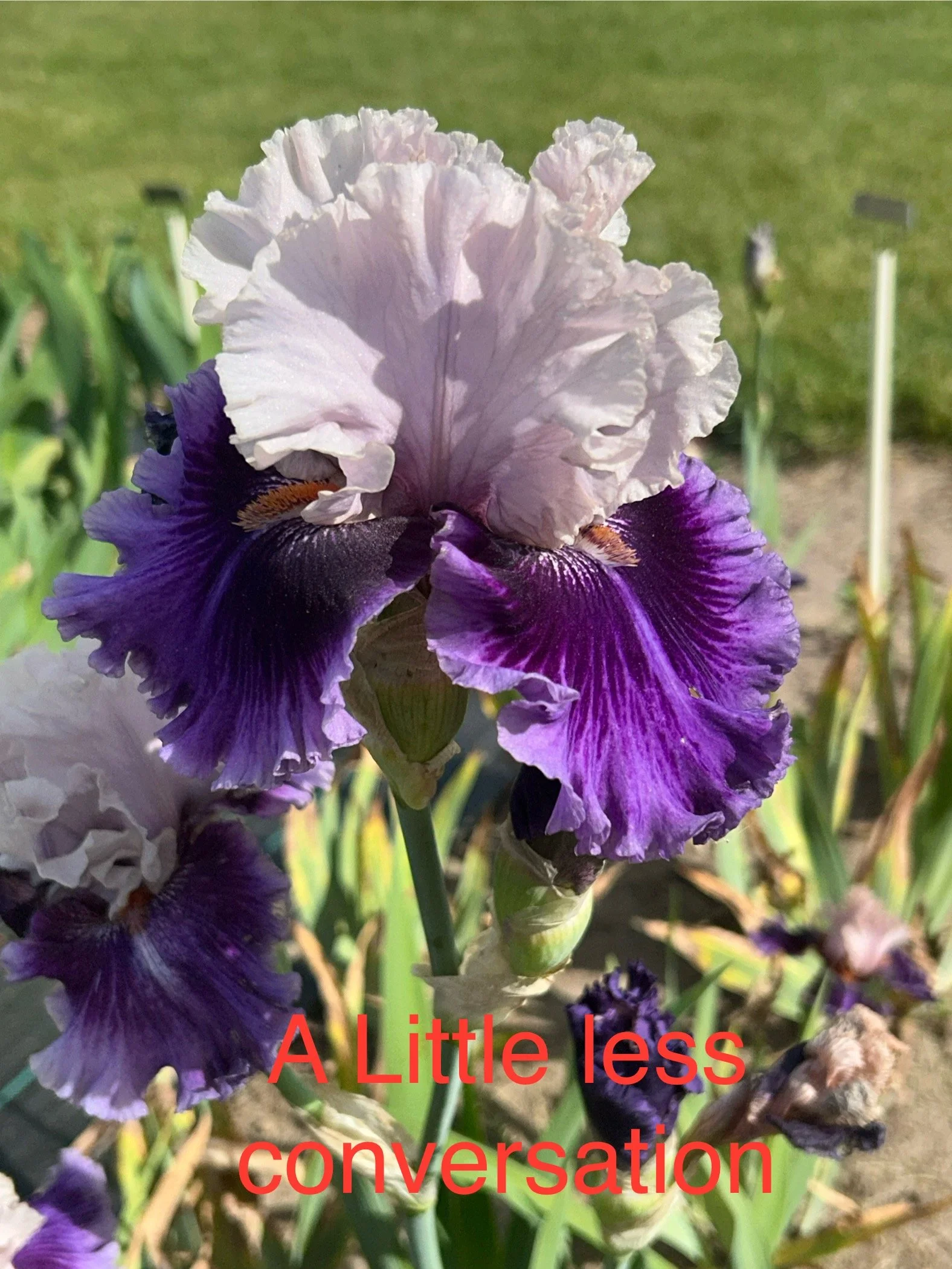 A Little Less Conversation