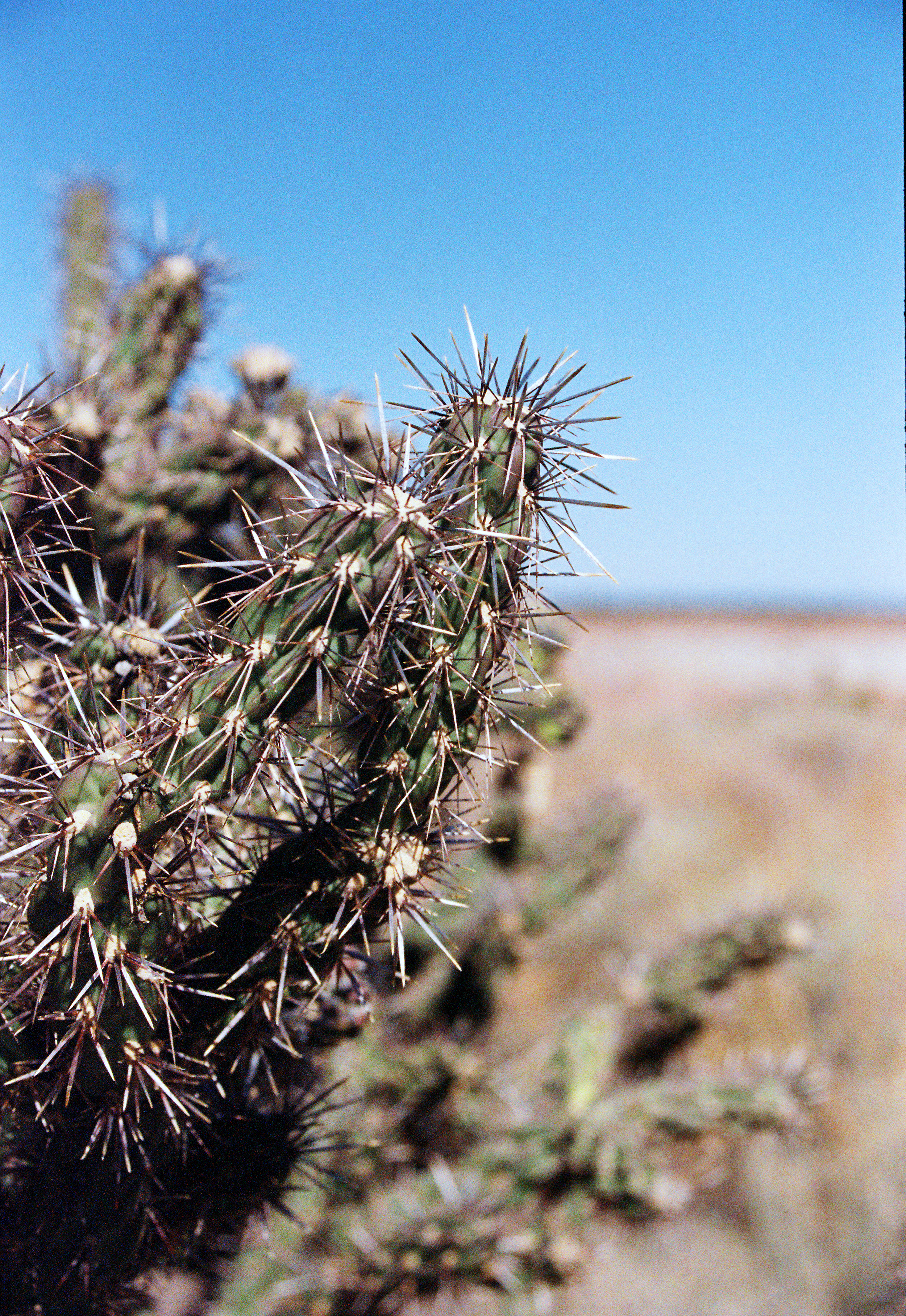 KM_2754_Superia 800_367467-R1-045-21.png