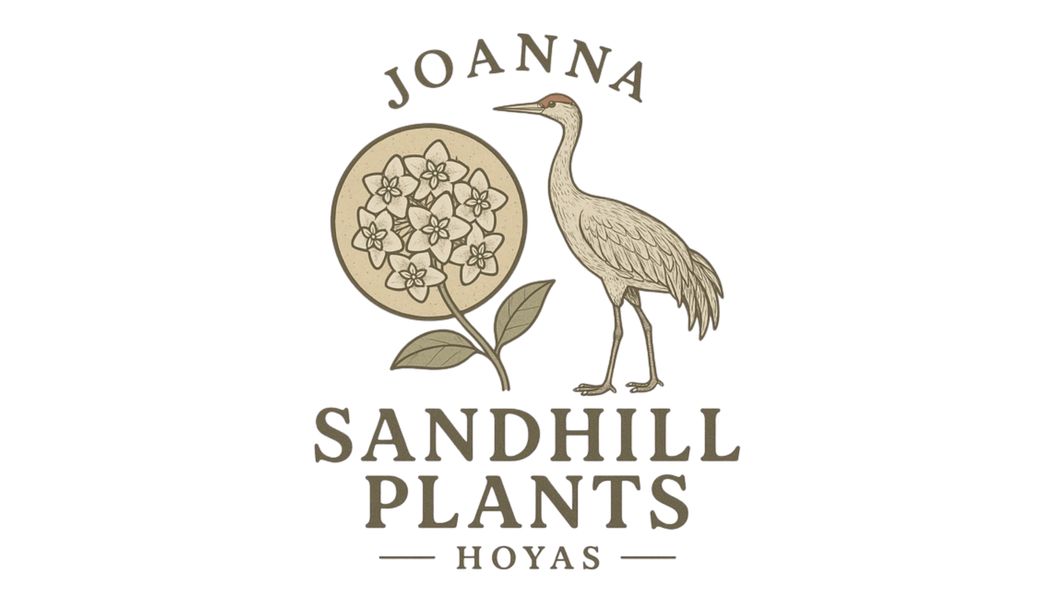 Sandhill Plants