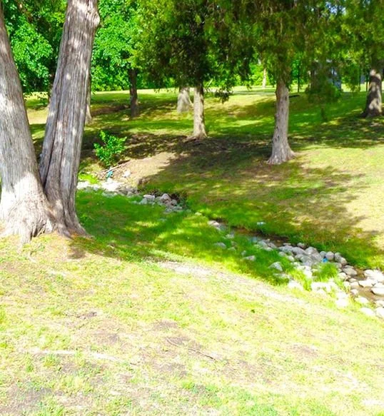 Smart Irrigation Systems: The Key to a Healthy, Efficient Landscape