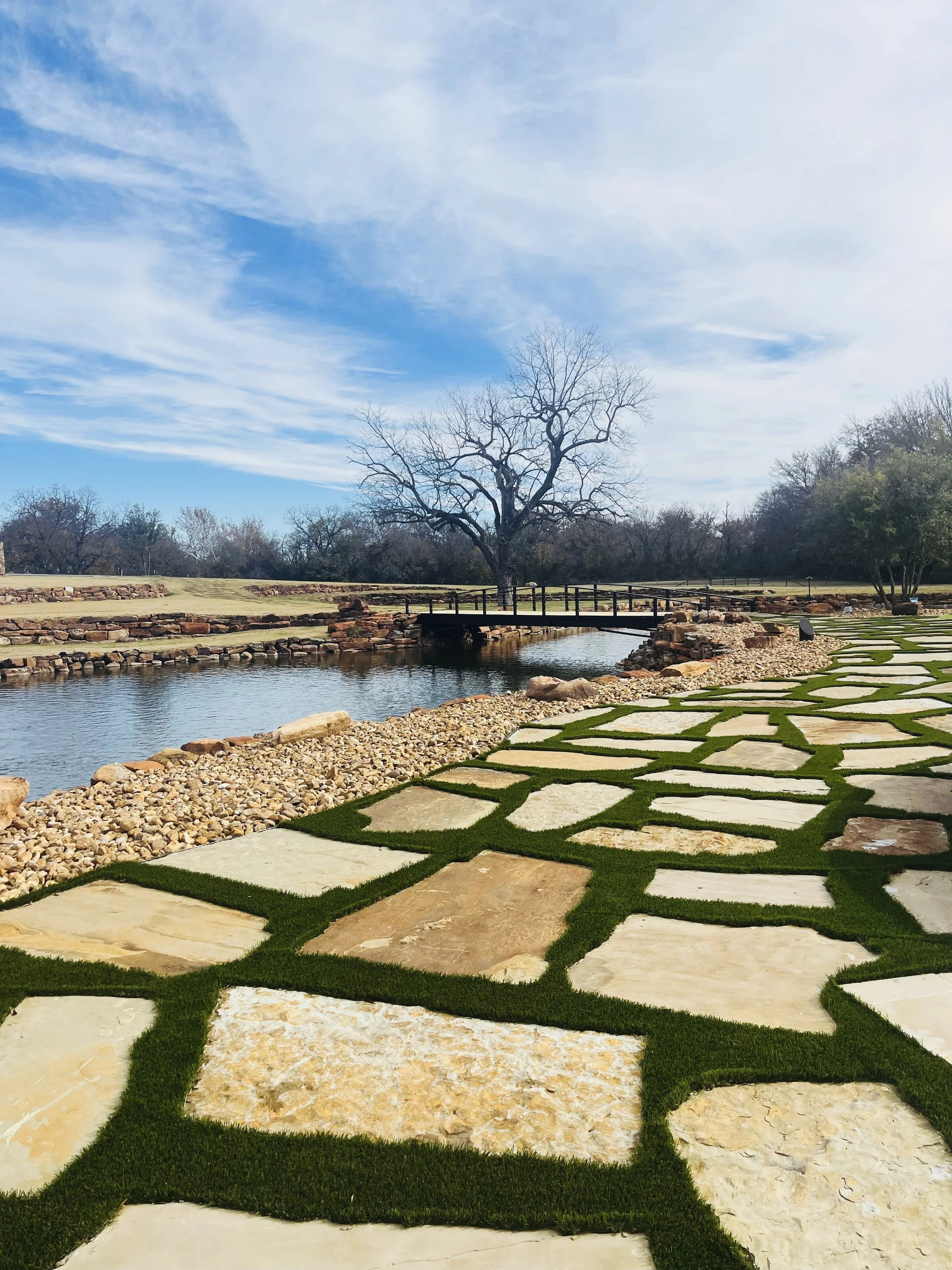 How to Prepare Your Texas Landscape for Freezing Weather