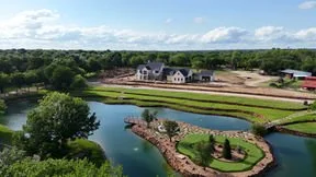 The Best Trees to Plant in Texas for a Beautiful and Resilient Landscape