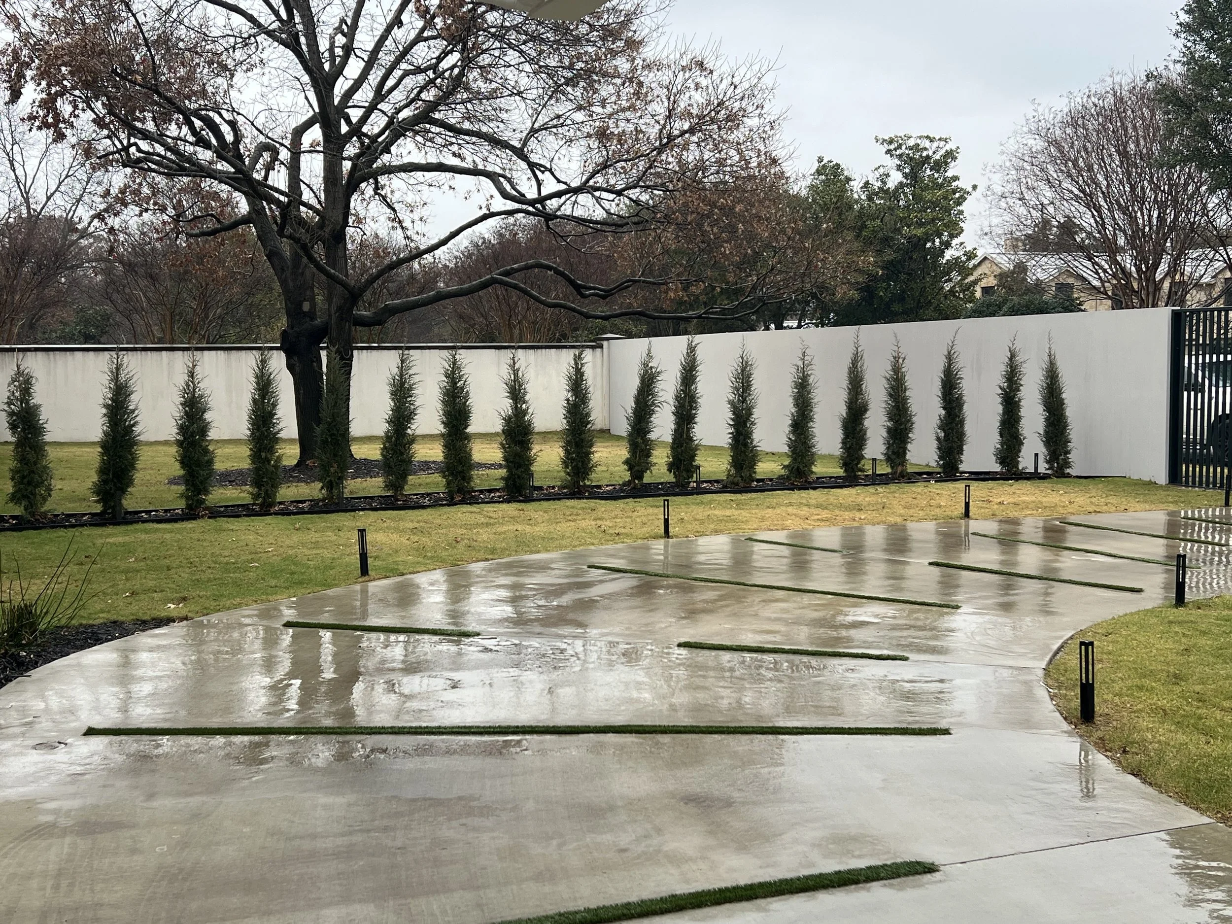 How to Maintain Juniper Trees: A Complete Guide for Healthy, Long-Lasting Landscapes