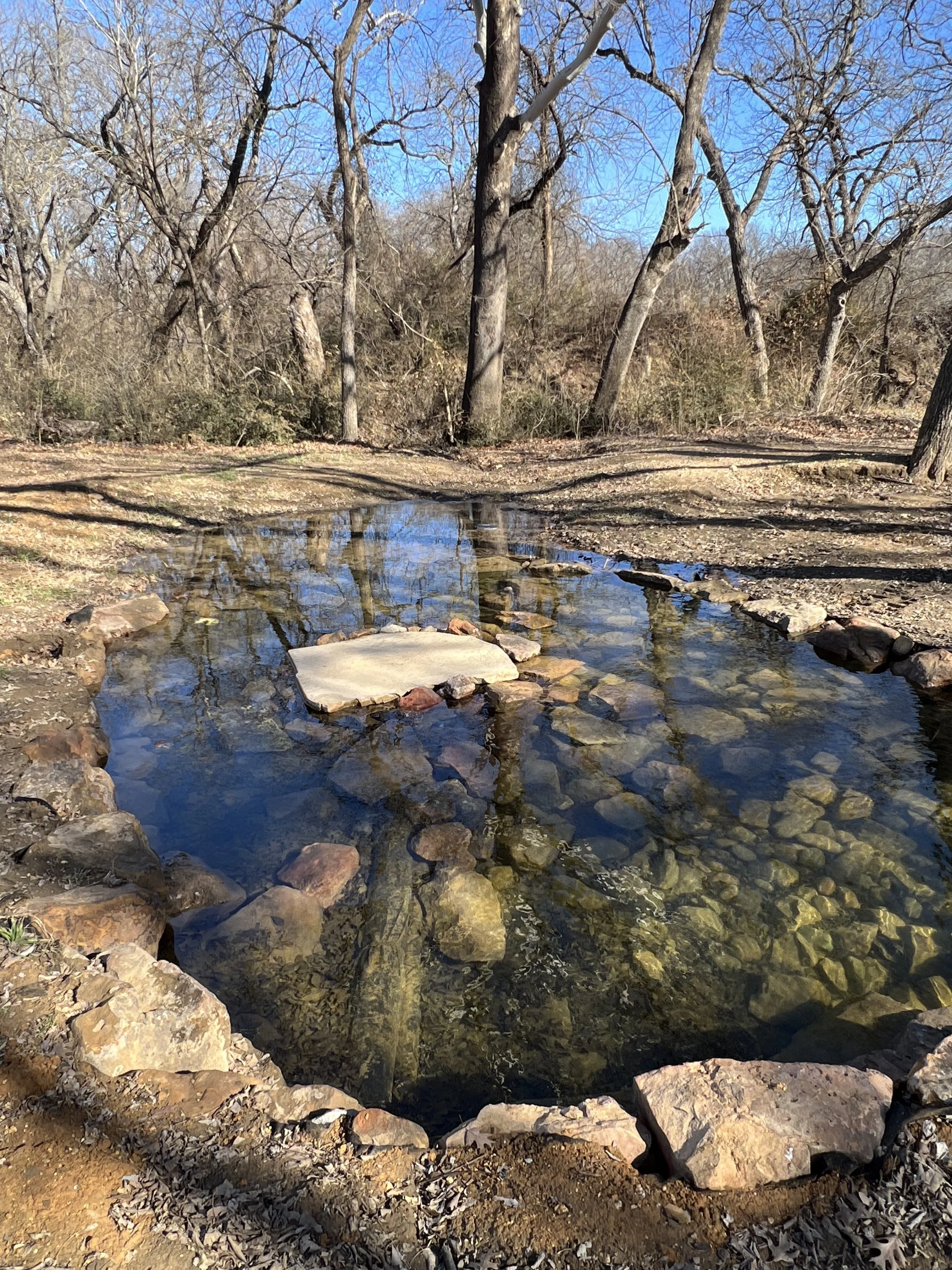 Why Building in a Flood Plain Requires Specialized Landscape Construction
