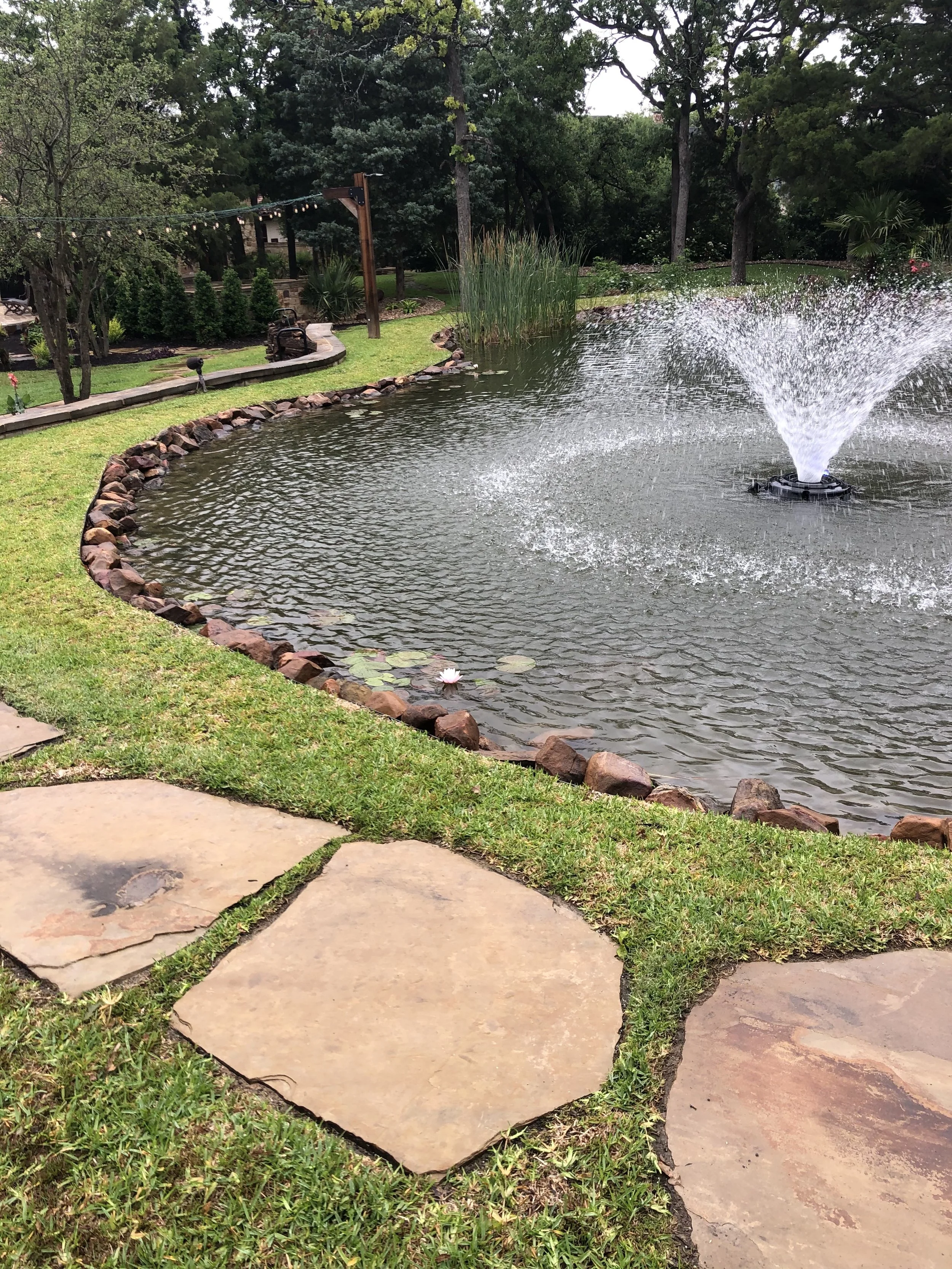 How to Properly Maintain Your Water Feature