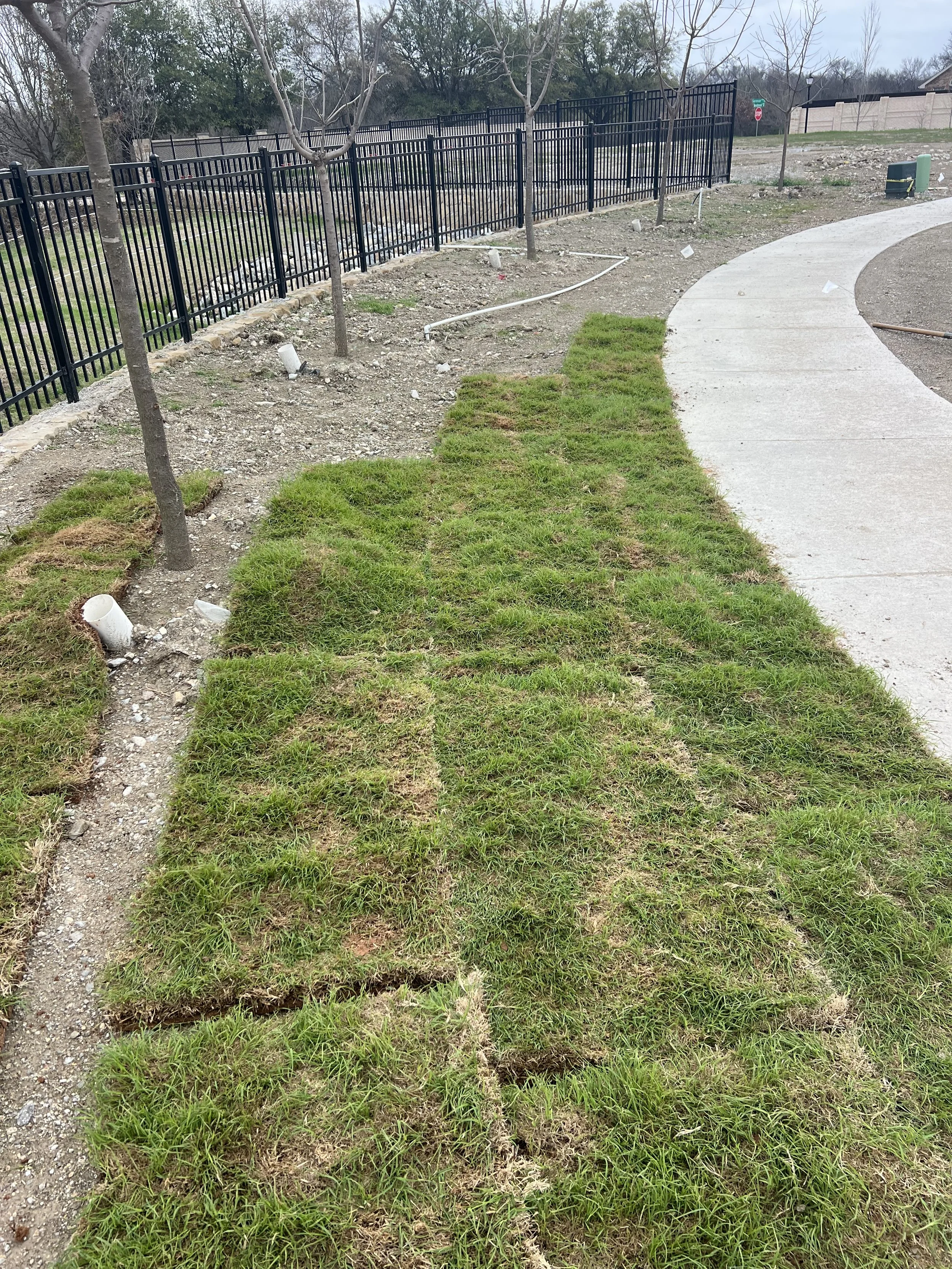 Choosing the Right Sod for Your Lawn: A Homeowner’s Guide