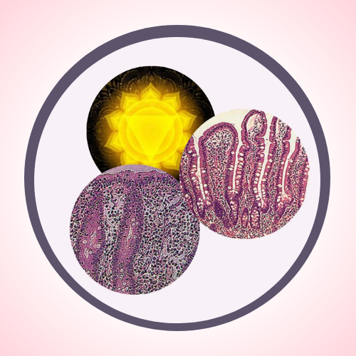 Coeliac disease – a missing link