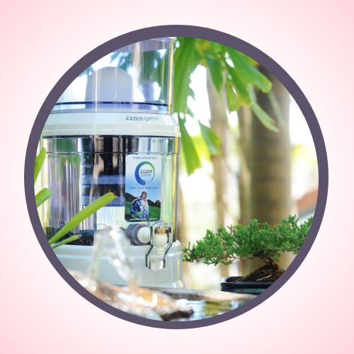 My Water Journey and the Importance of Water on our health