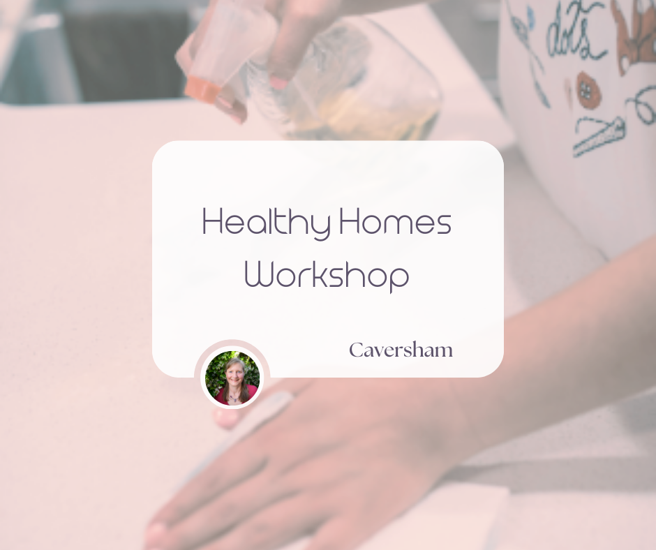Healthy Homes - Mini DIY Workshop