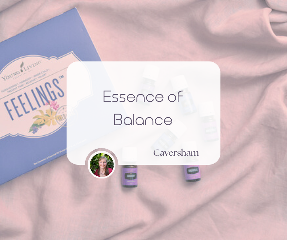 Essence of Balance