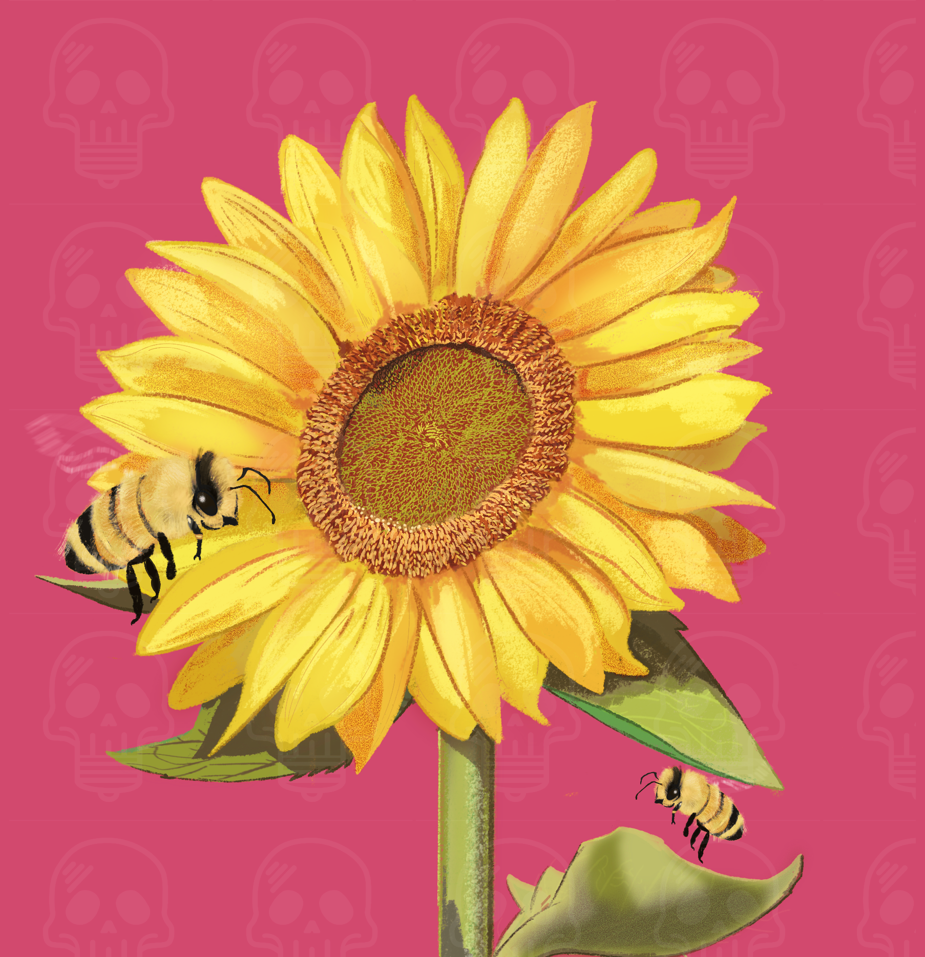 Sunflower - Newlin 2026.png