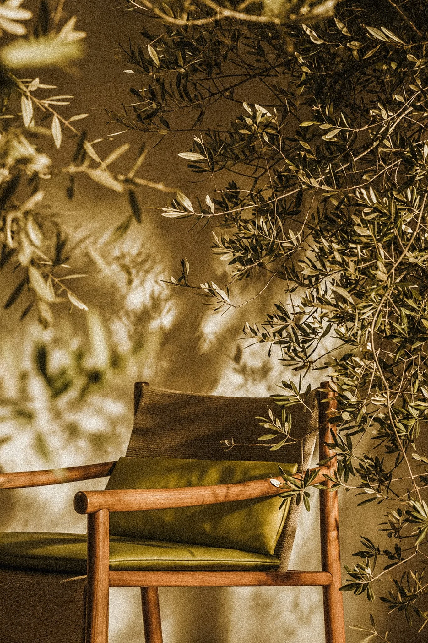 SummerArchive-Image-12.jpg
