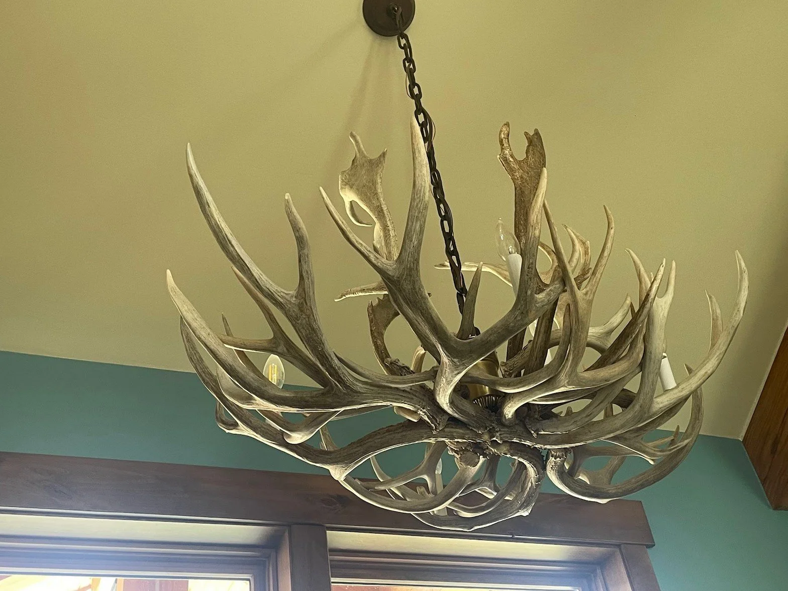 Antler Chandelier (2).jpg