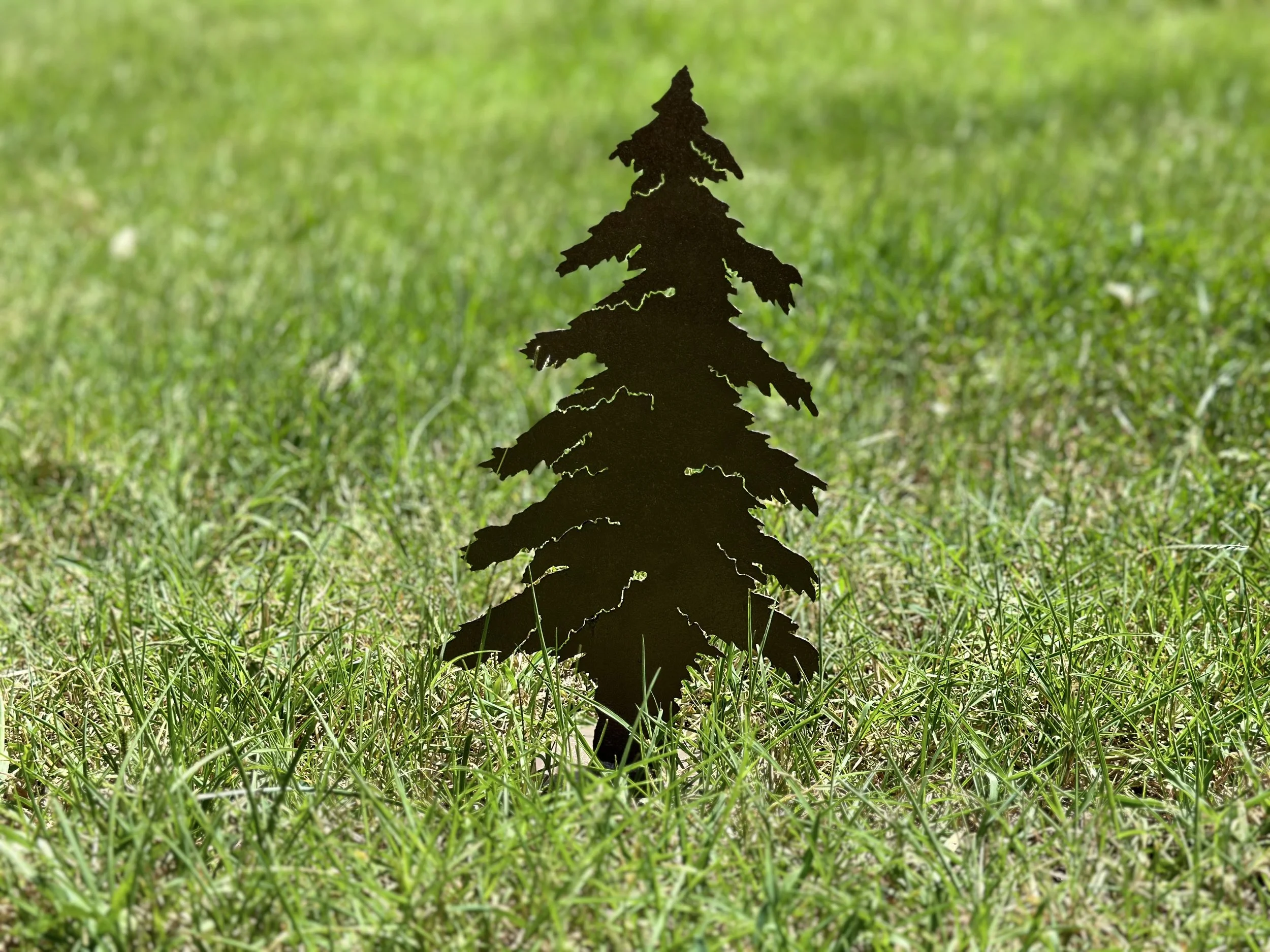 Black silhouette of a pine tree cutout standing on green grass.
