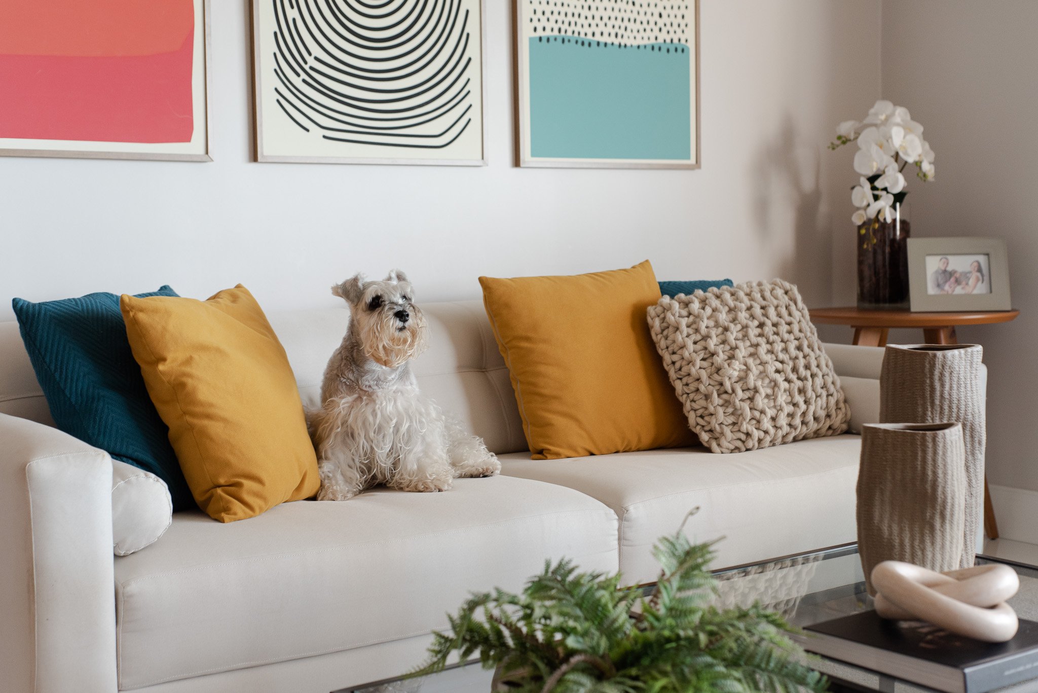 Living room with white sofa, yellow and blue pillows, small dog sitting on the sofa, framed modern art paintings on the wall, side table with white flower arrangement, framed photo, and decorative vases.