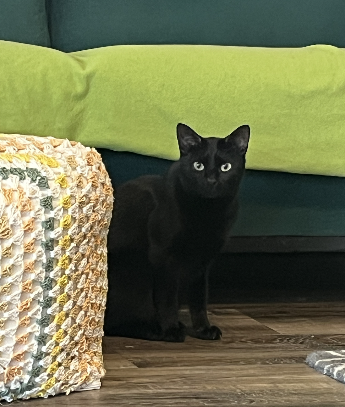 Screen Shot 2026-04-07 at 3.30.41 PM.png