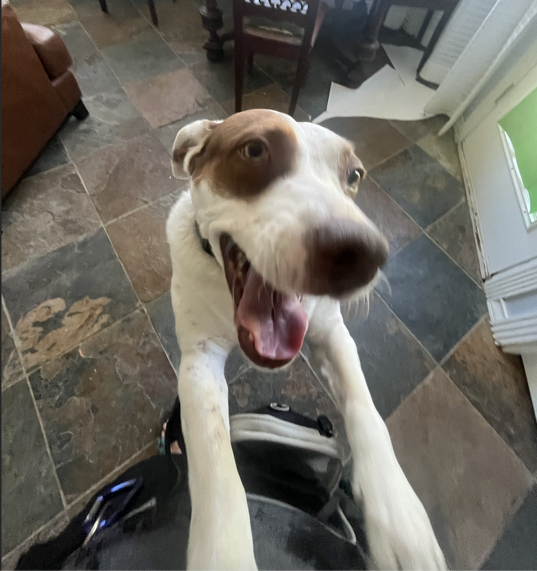 Screen Shot 2026-04-07 at 10.59.27 PM.png