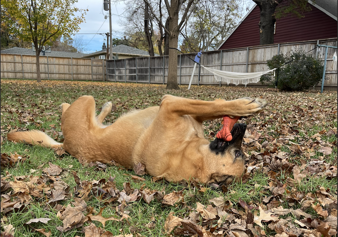 Screen Shot 2026-04-01 at 8.55.36 AM.png