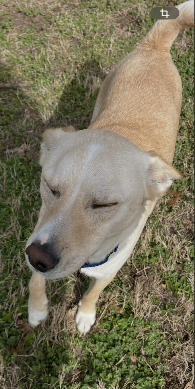 Screen Shot 2026-04-07 at 7.59.41 PM.png